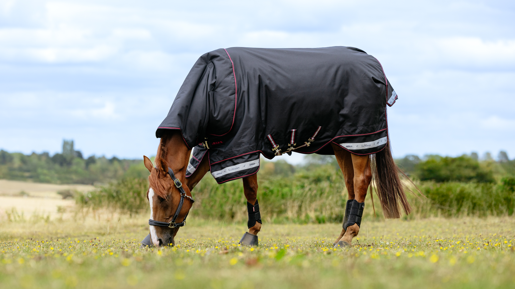 Arika Storm-Tek Weidedecke 200G