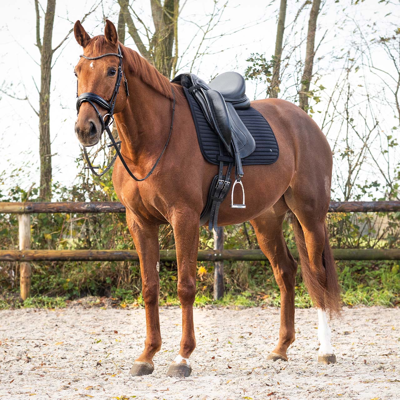 Saddle pad Avélie
