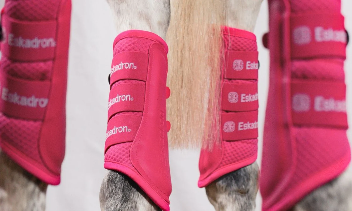 Eskadron Gamaschen Dynamic in Lipstick am Pferd