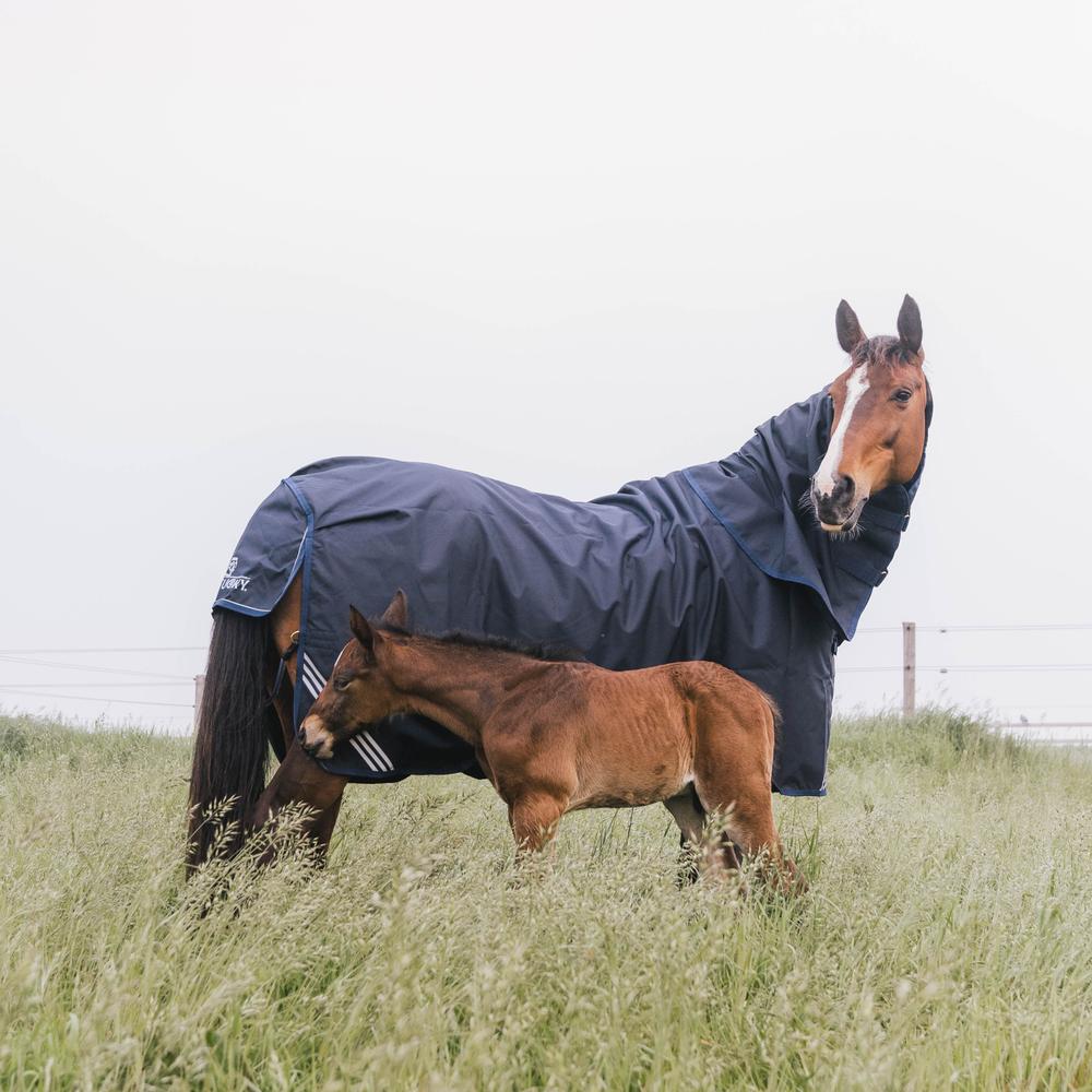 Couverture de pré All Weather Waterproof Comfort