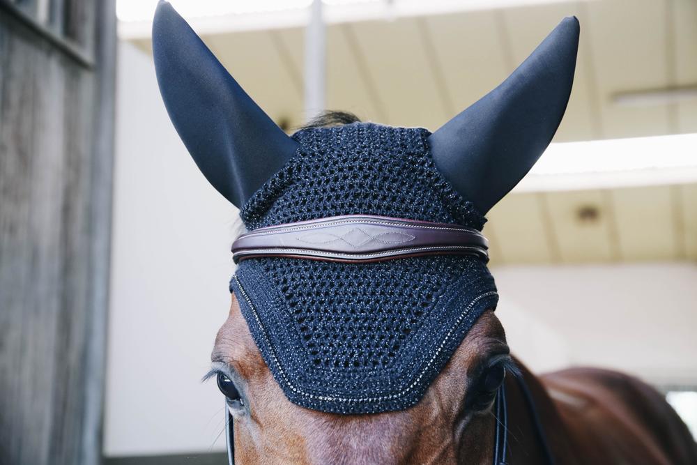 Fliegenhaube Wellington Sparkling