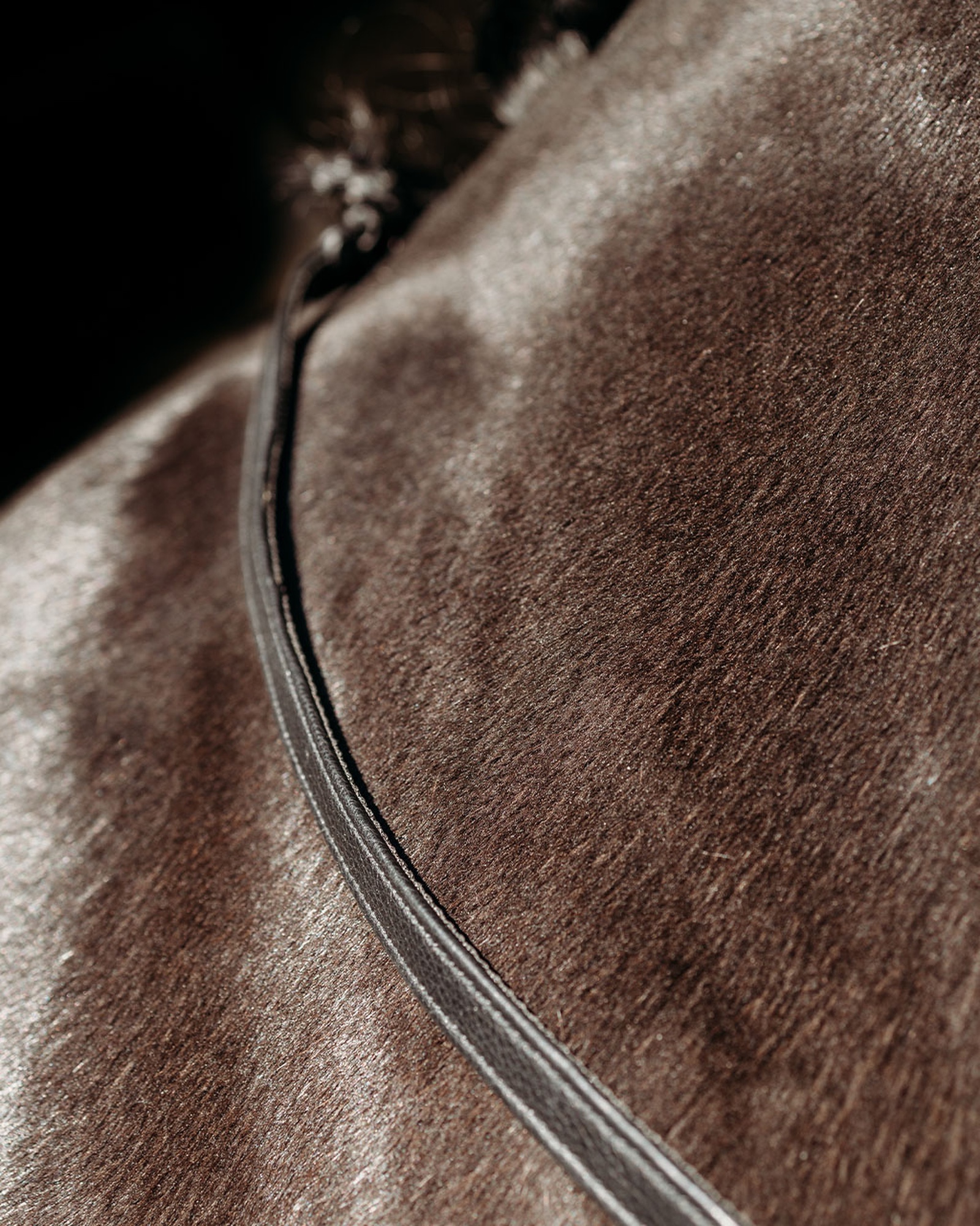 FayRein port reins with clip