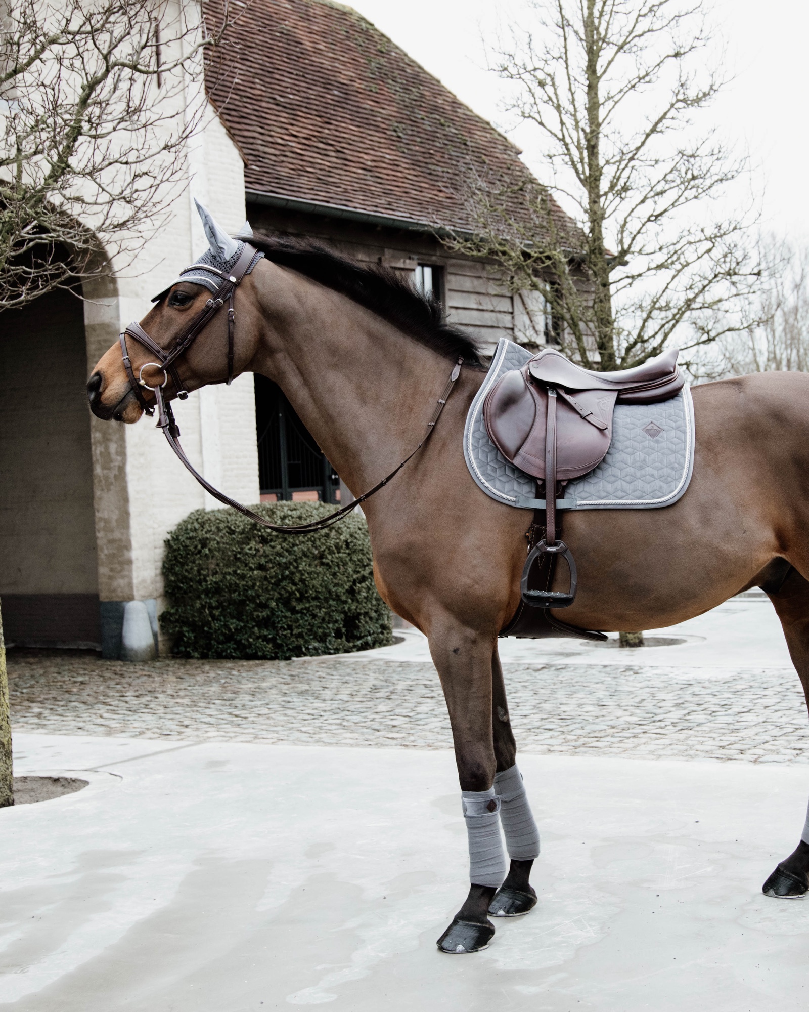 Jumping saddle pad Basic Velvet