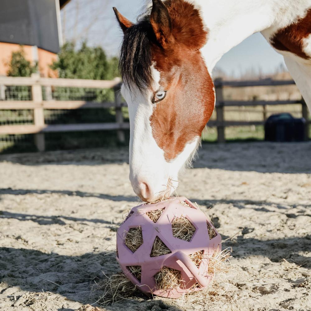 Relax horse game & hay ball