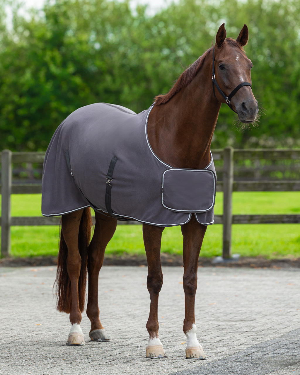 Sweat rug with ornament