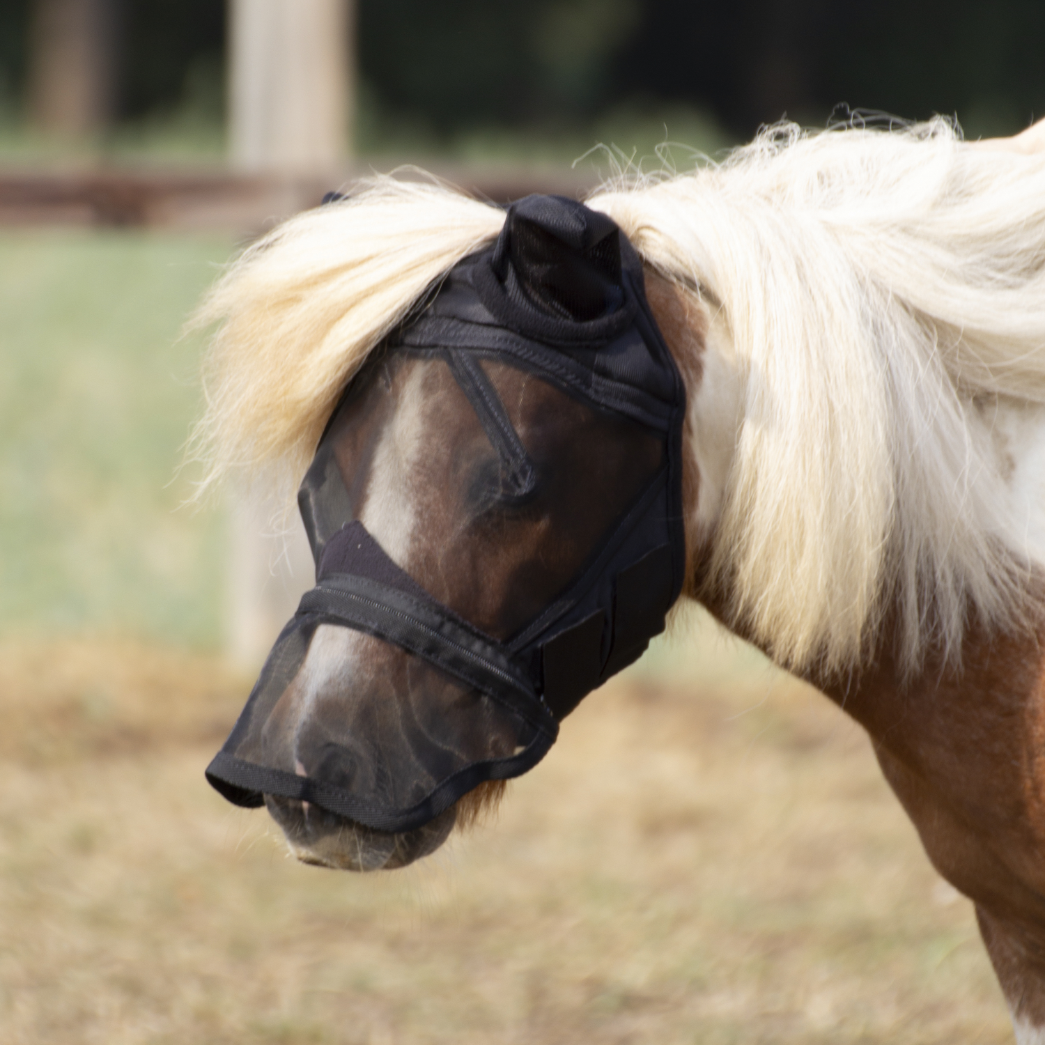 Fliegenmaske Fly Protector