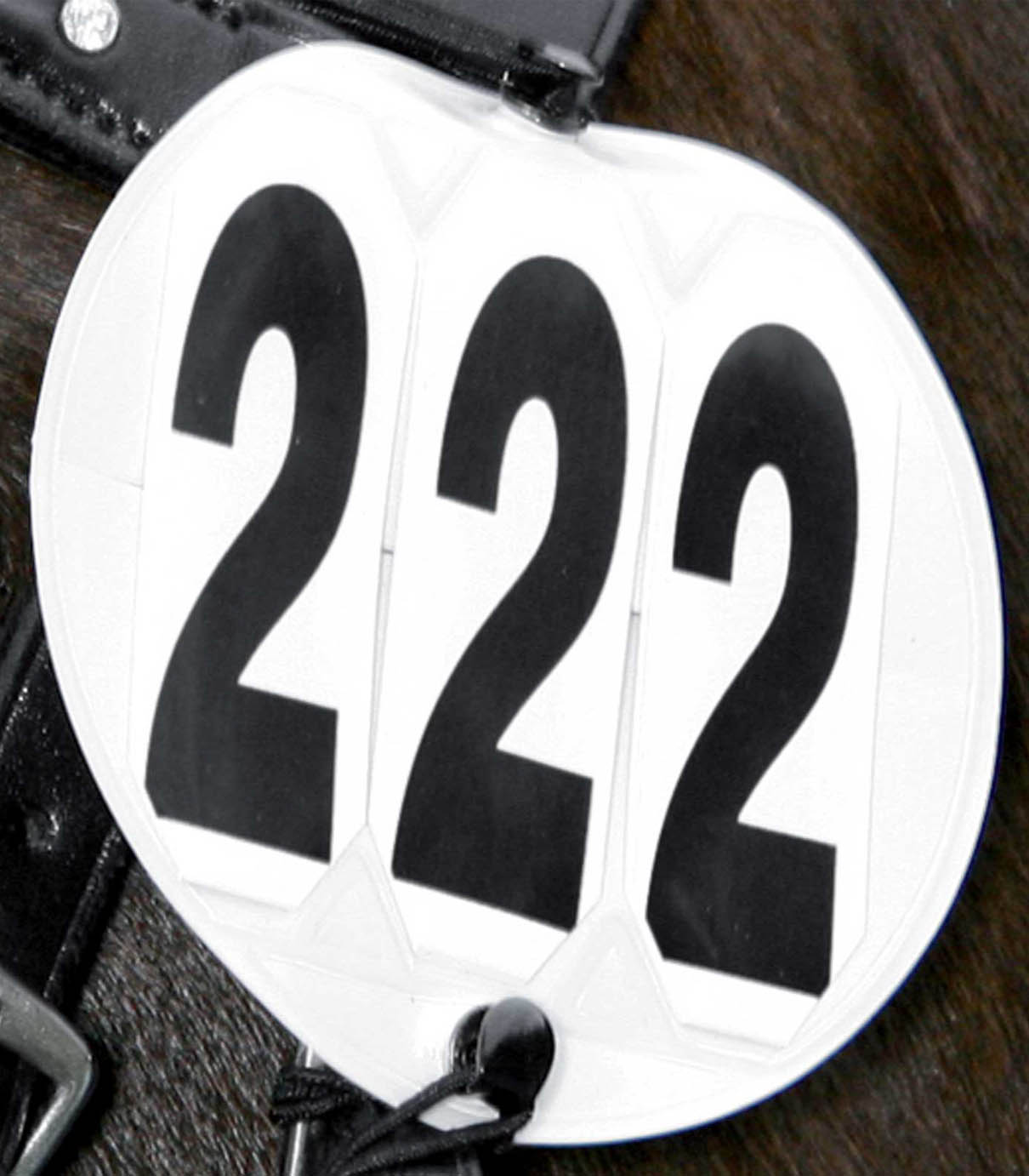 Header numbers, round, white
