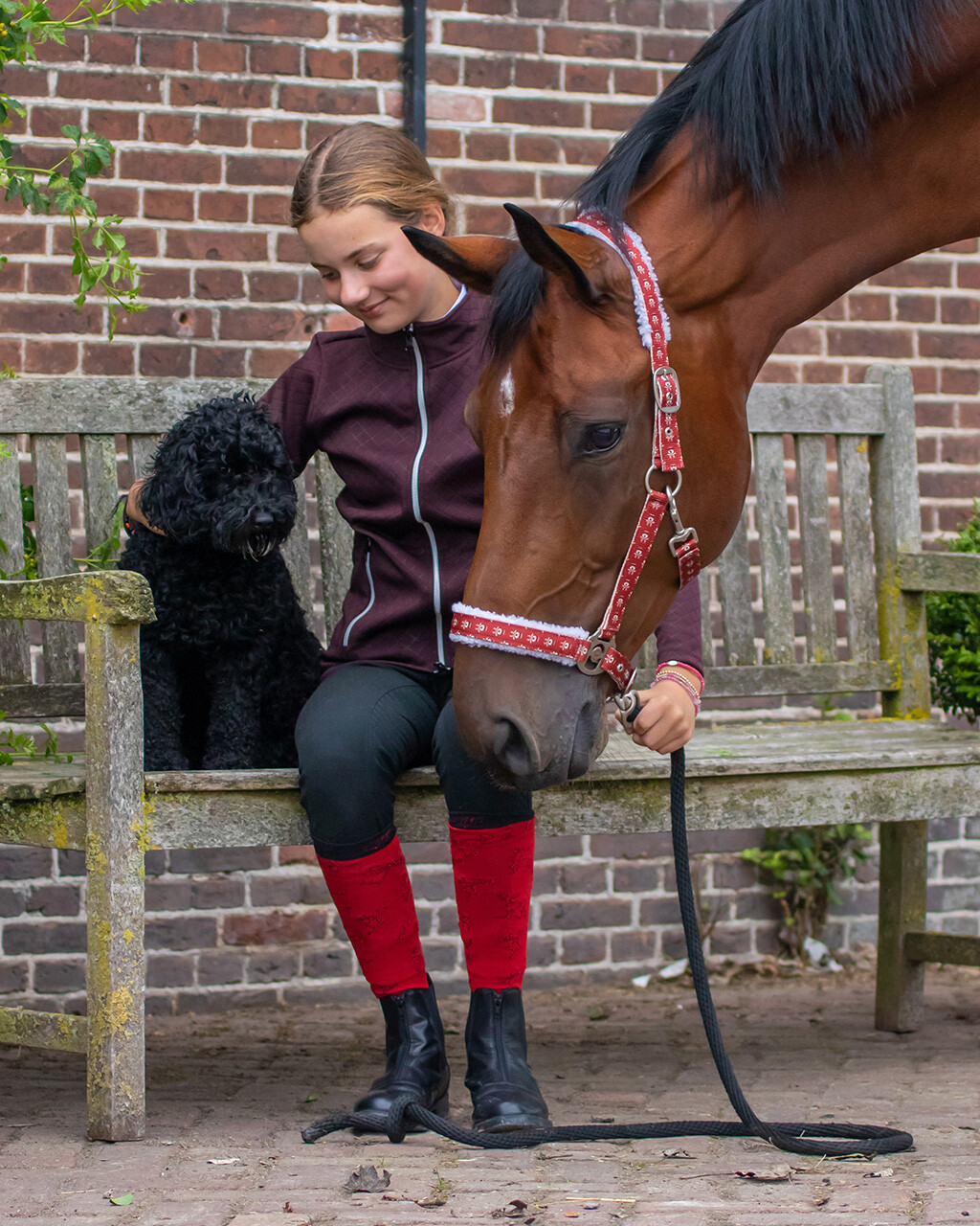 Christmas knee socks (pack of 2)