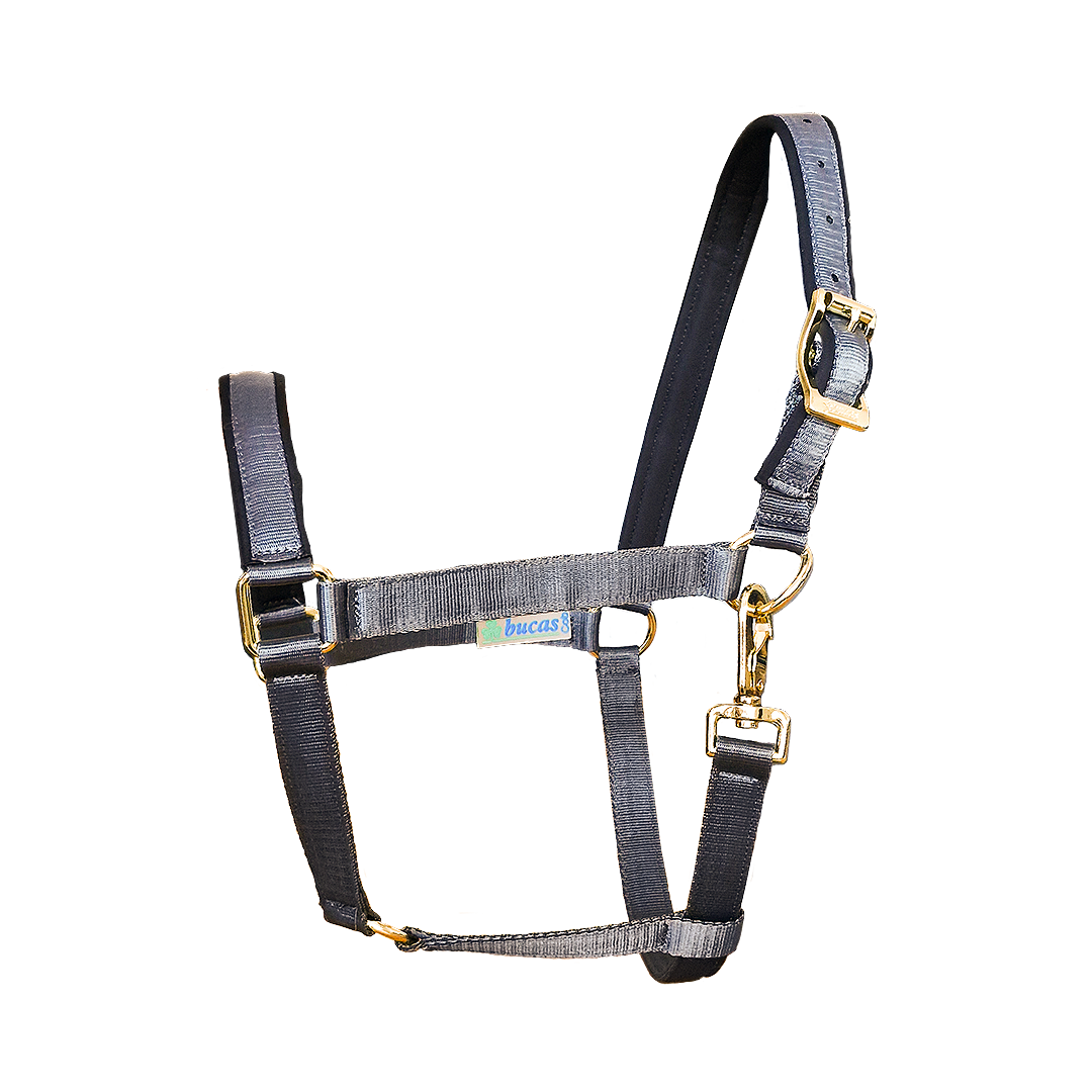 Halfter Dublin in Iron Gate/Black