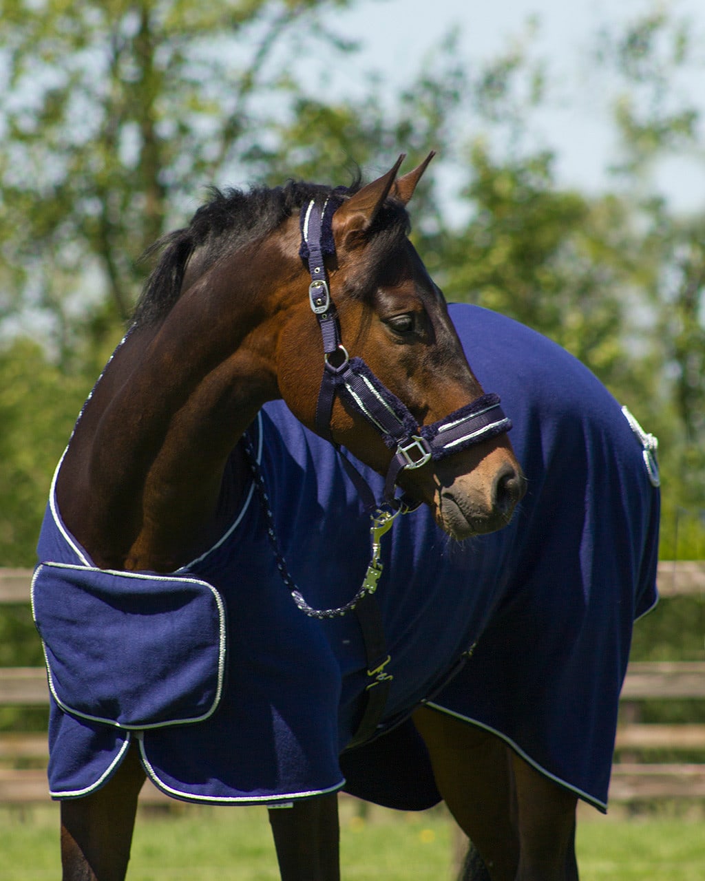 Sweat rug with ornament