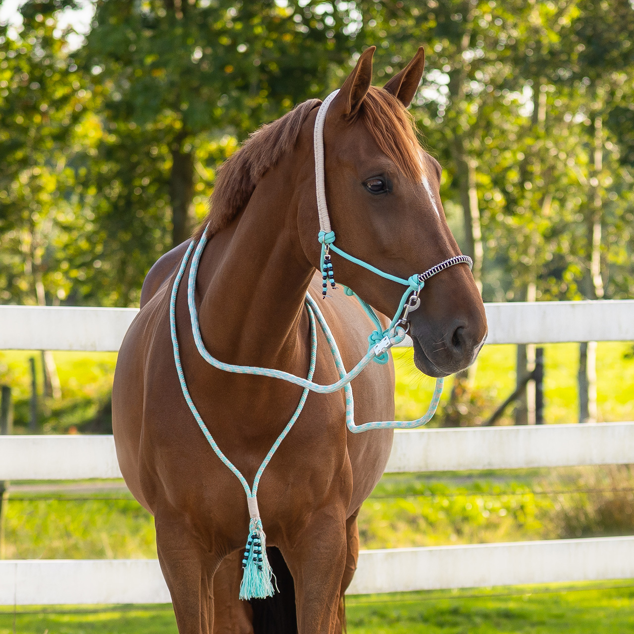 Knotted halter combi Liberty