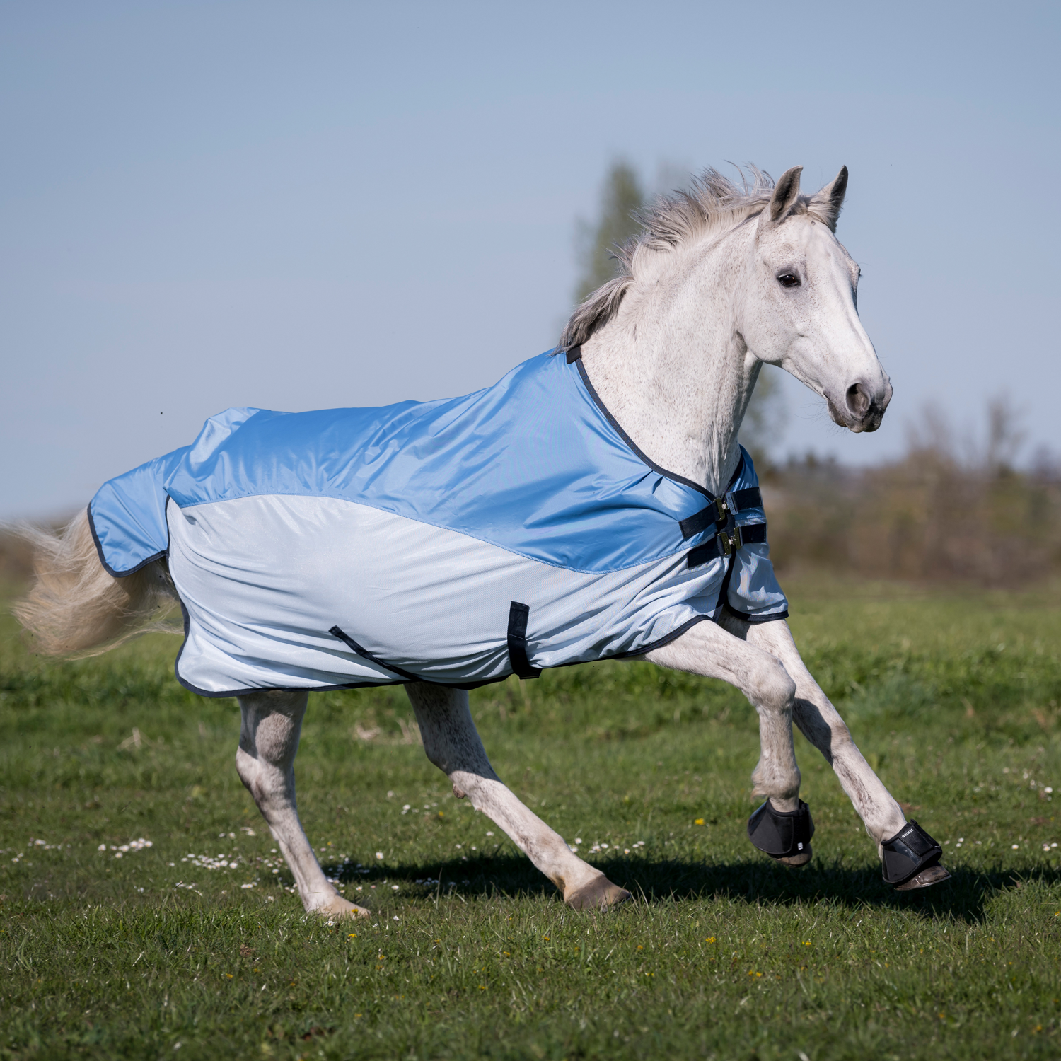 RainFly outdoor blanket