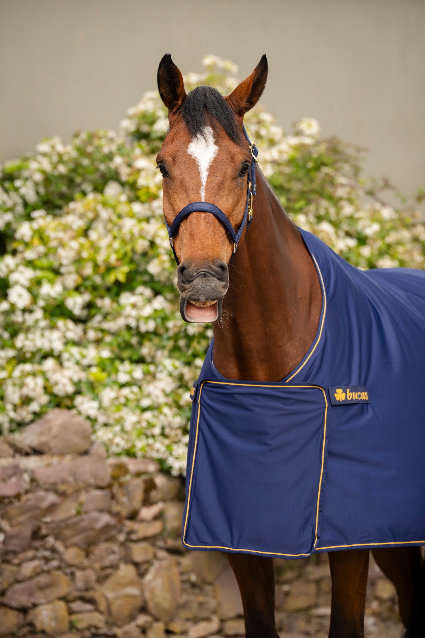 Abschwitzdecke Panel Prize Cooler in Navy/Gold