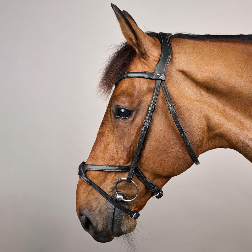 X-fit bridle NE