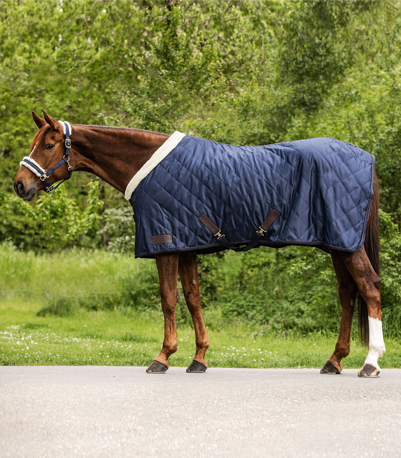 Exclusive transport blanket