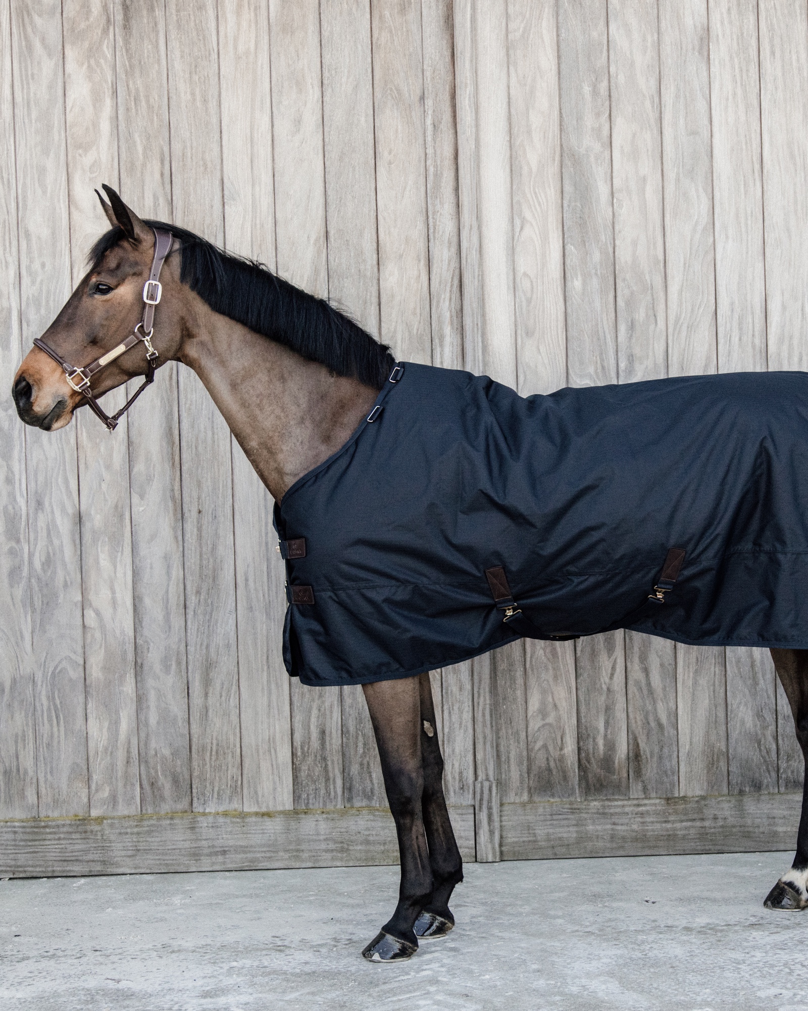Outdoor rug All Weather waterproof Classic 300g