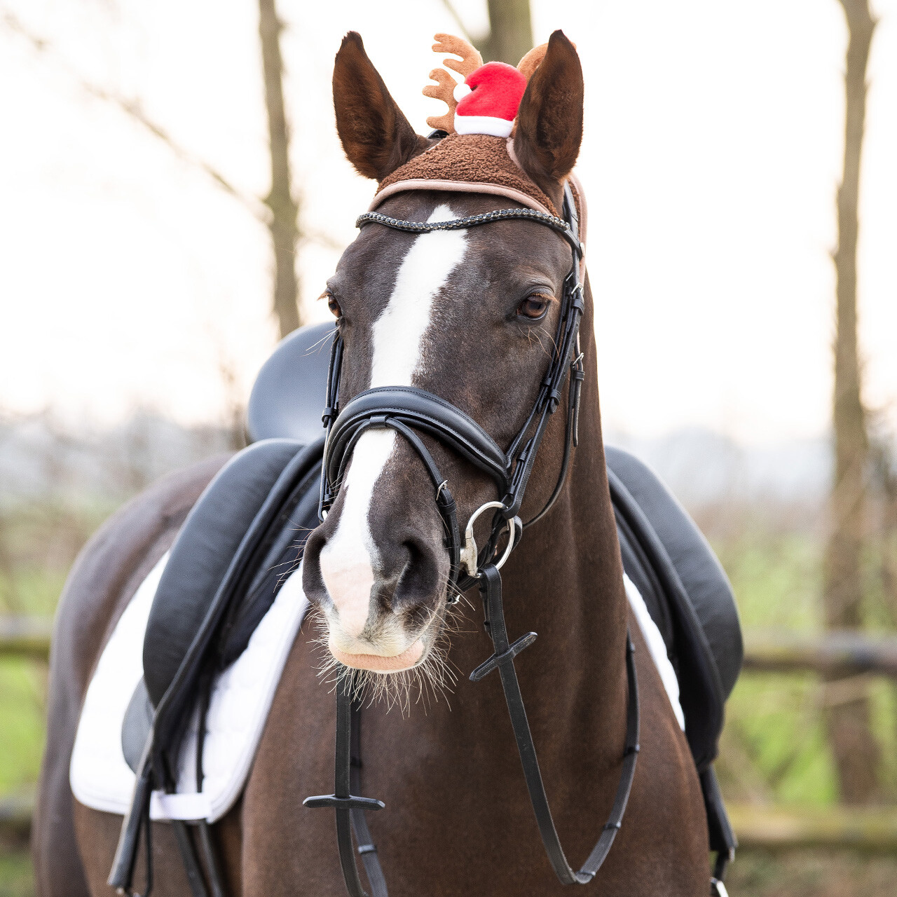 Fly ears with antlers