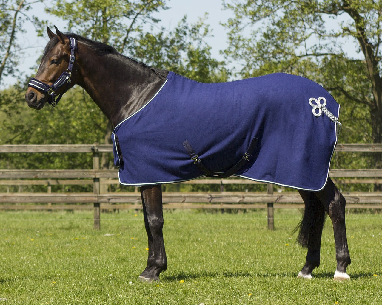 Sweat rug with ornament