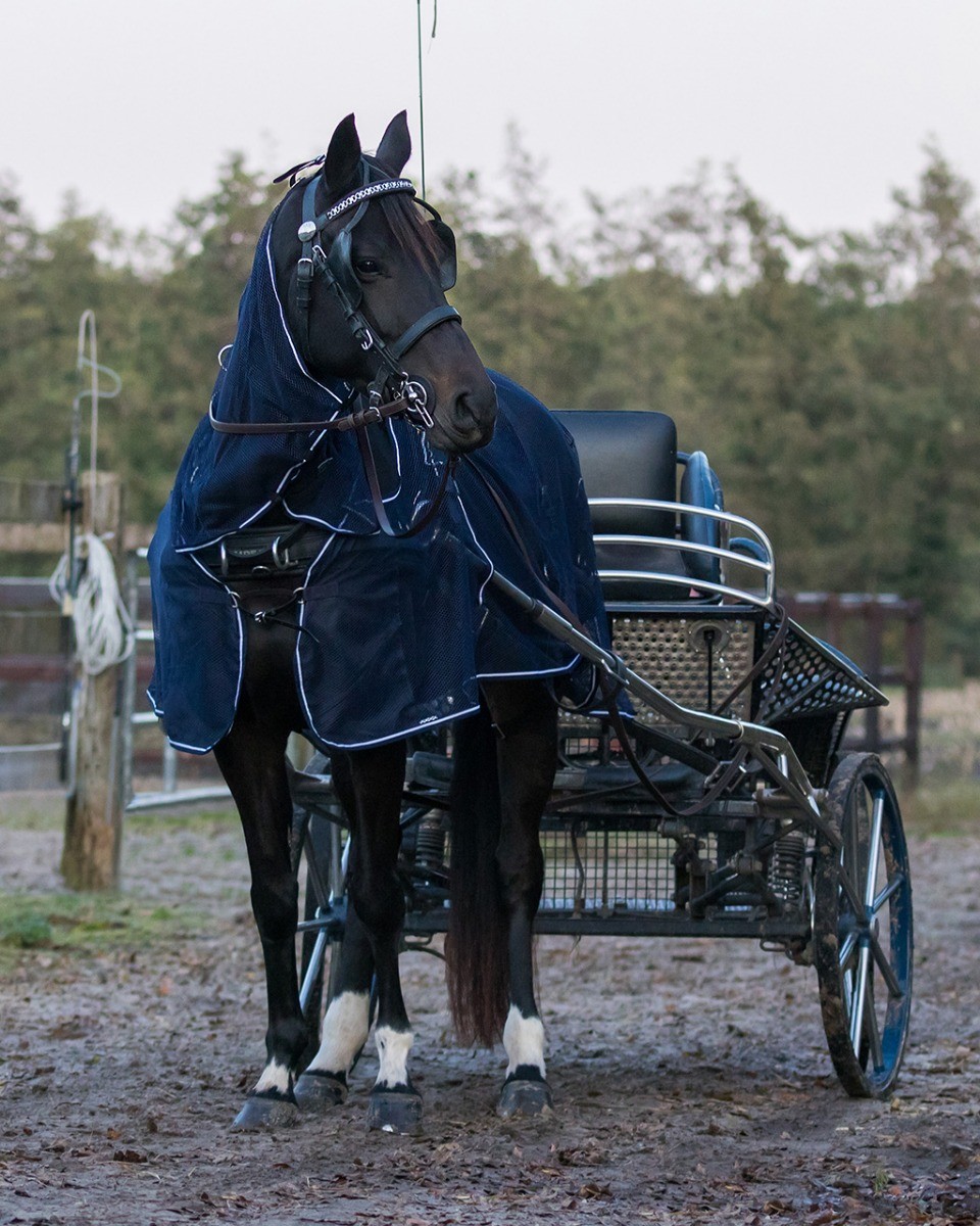Harness fly rug with neck section