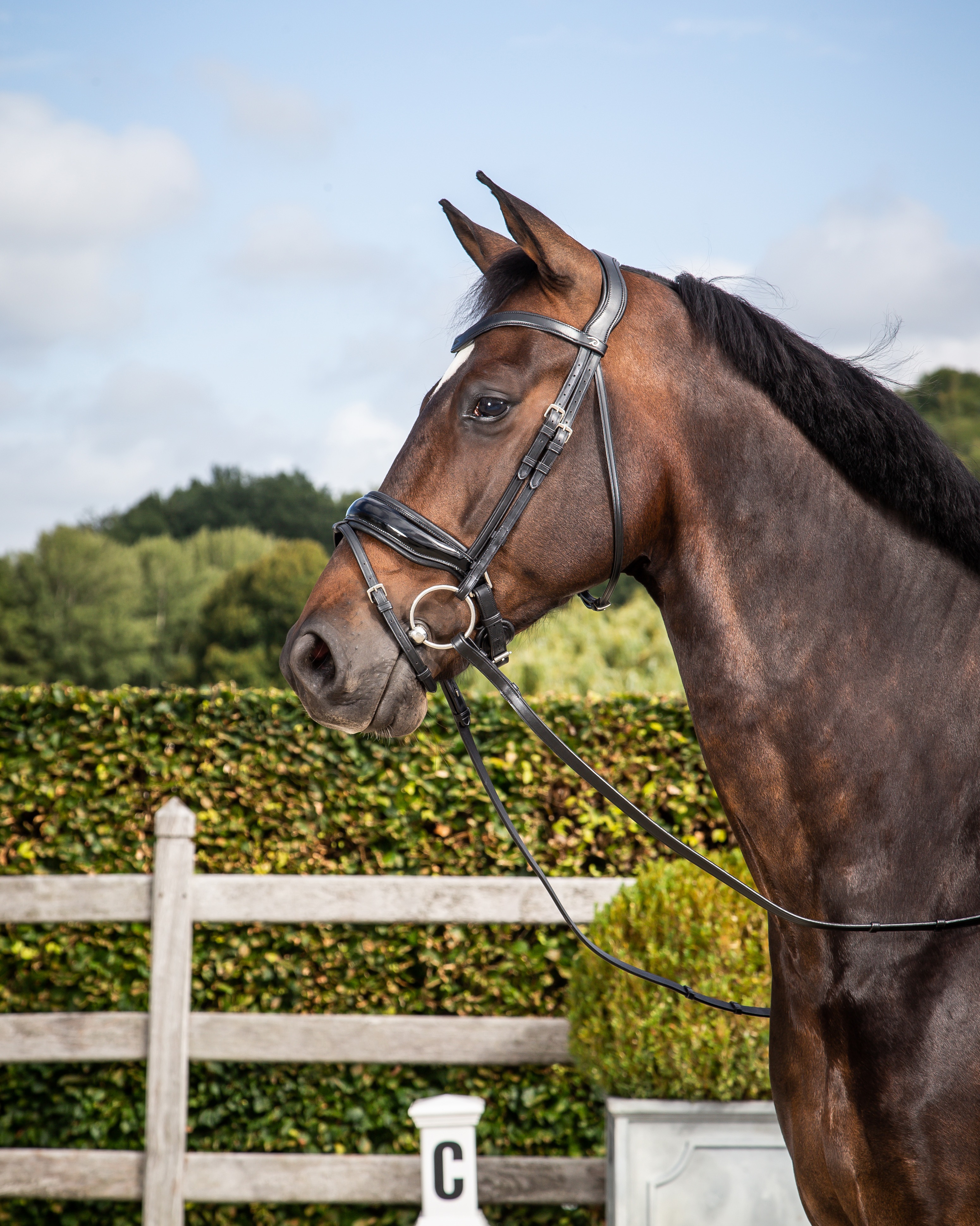 Snaffle bridle Swedish wide with patent in black