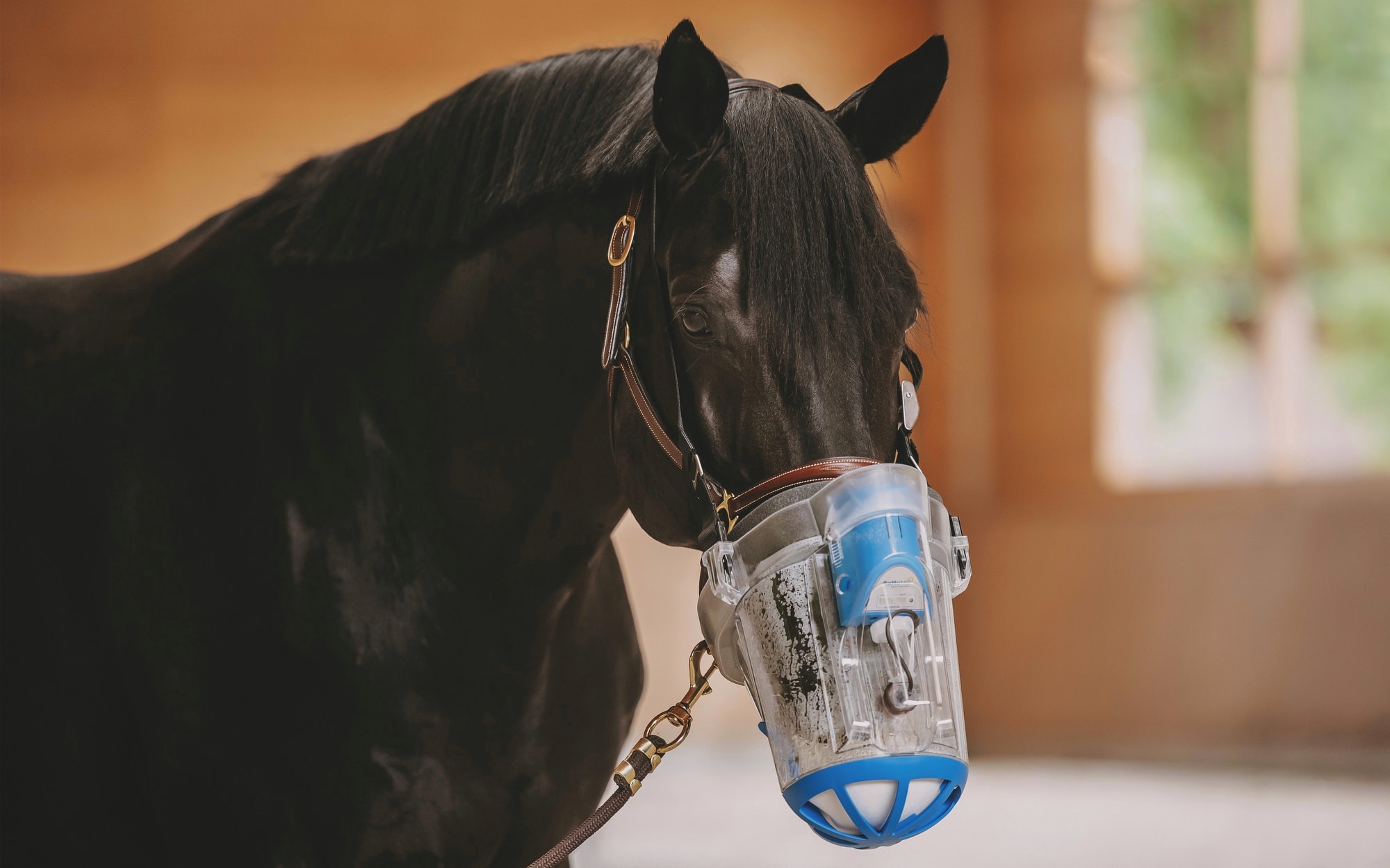 NebuTec Pferd mit NebuTec Inhalator