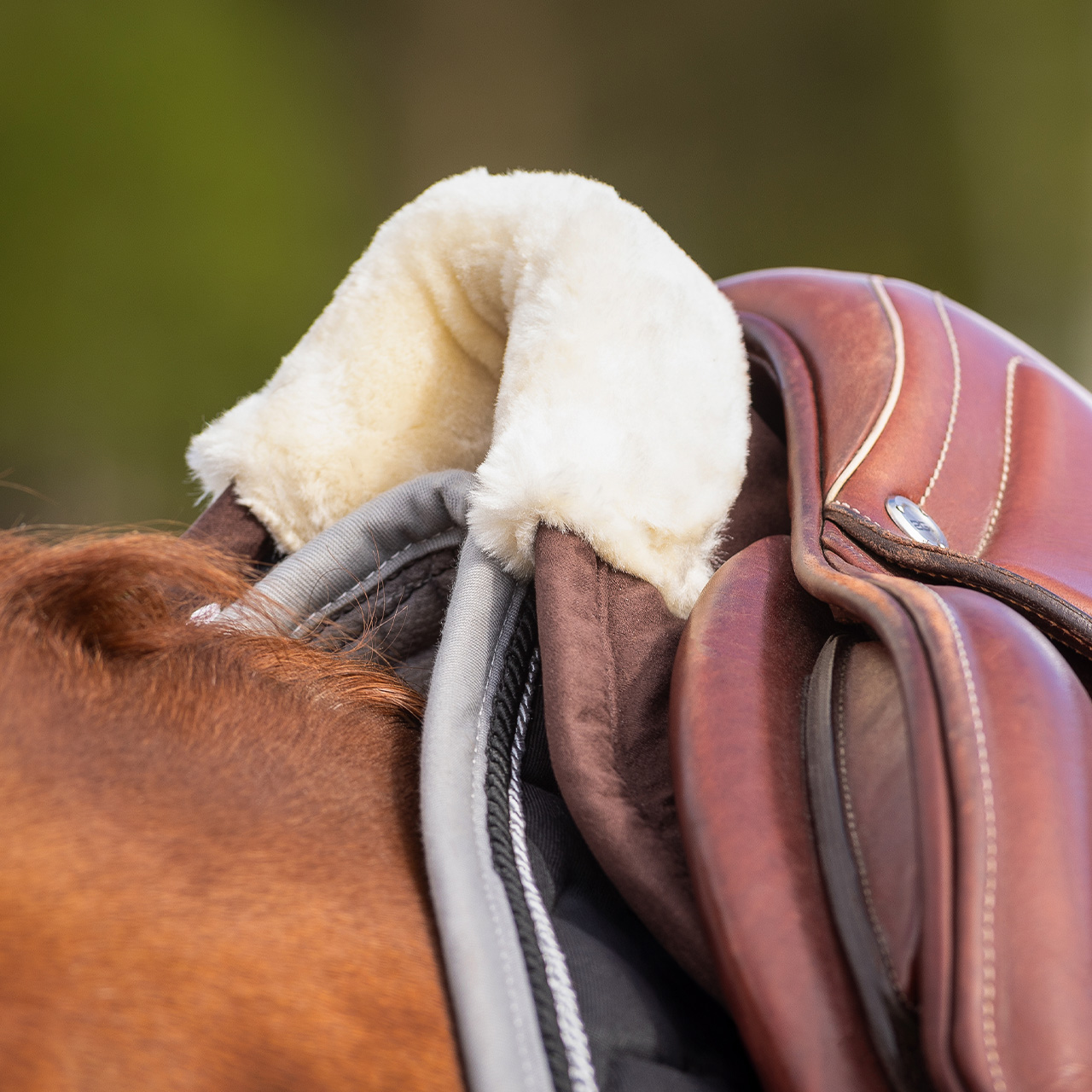 Saddle Pad Memory Foam Ontario