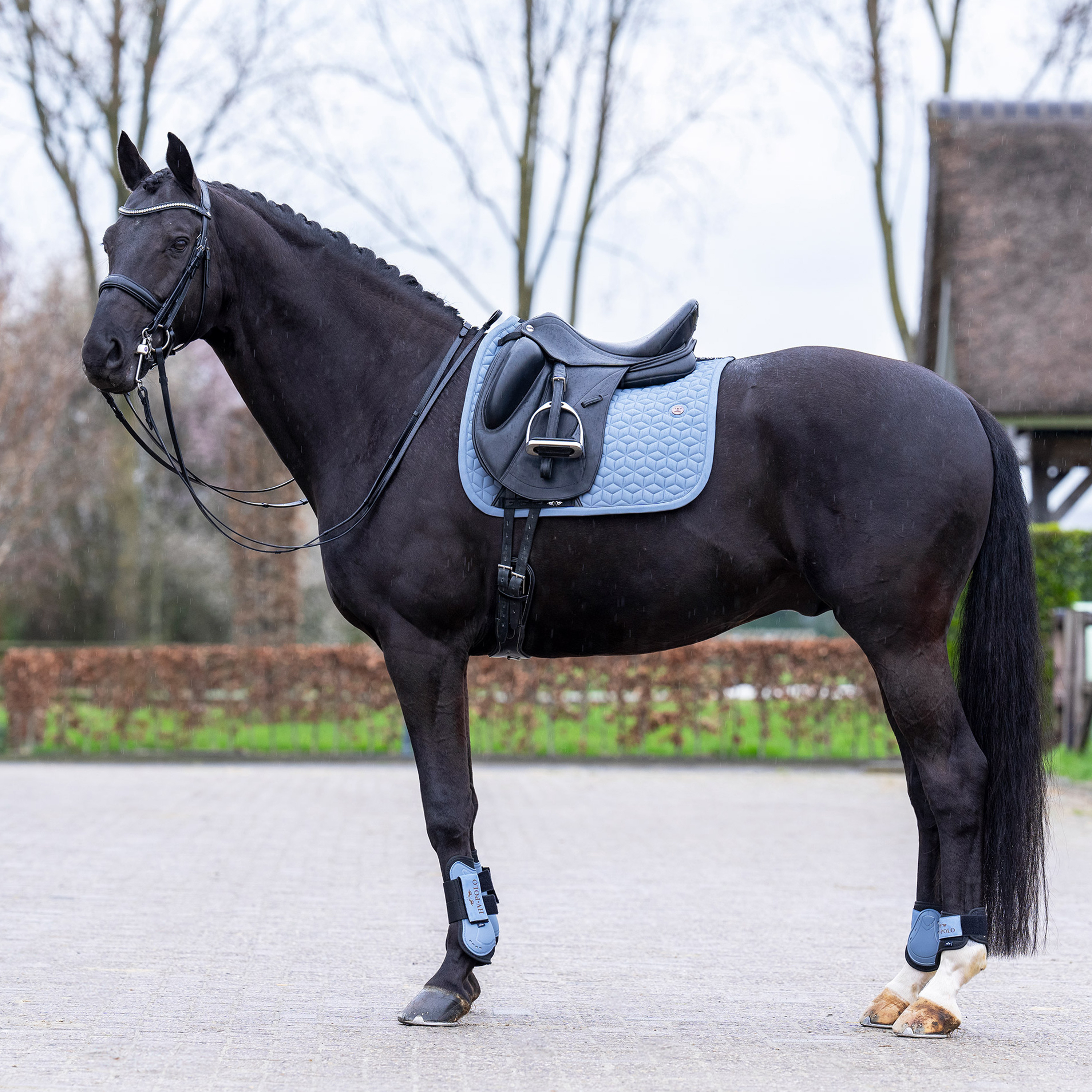 Schabracke Essential DR