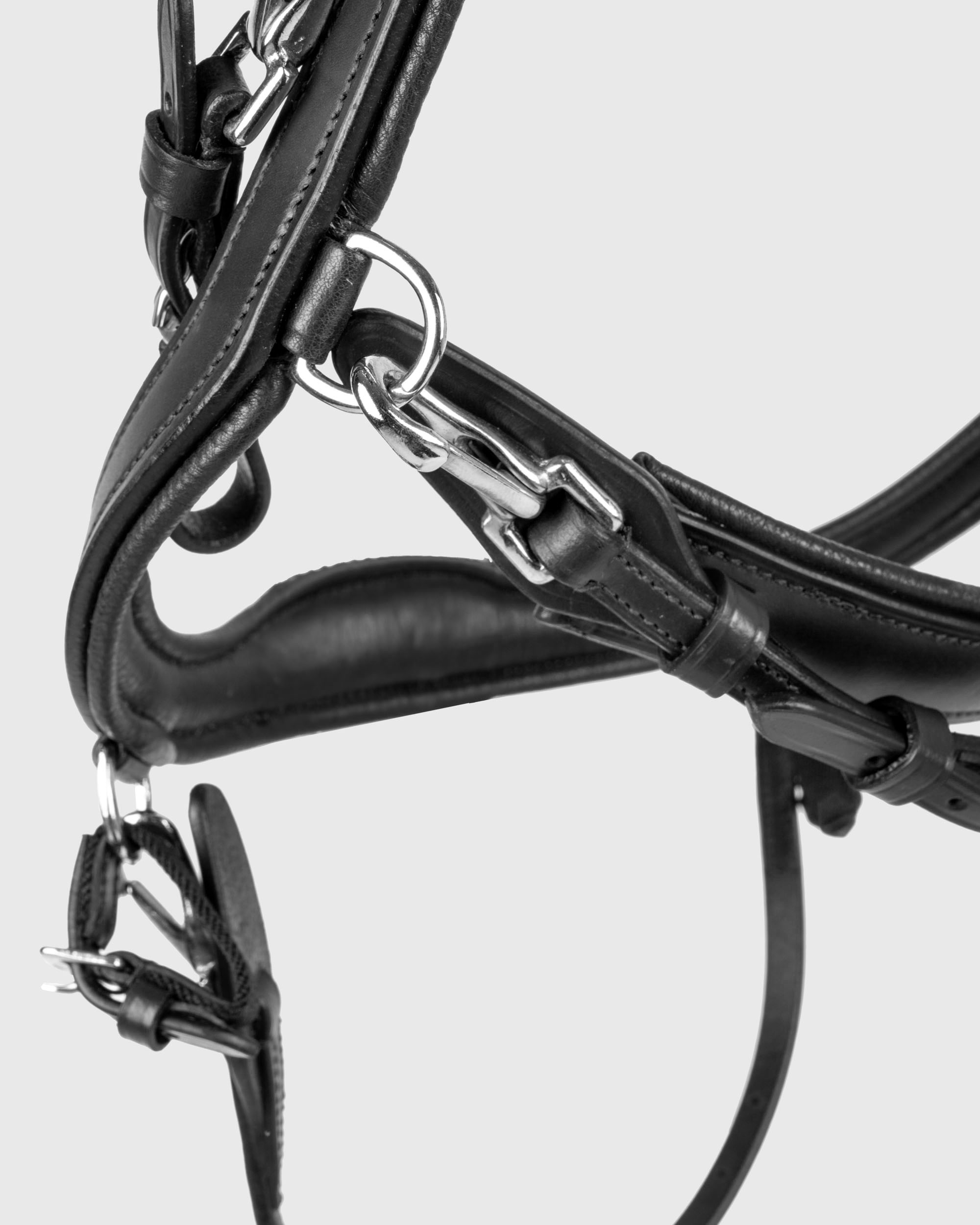 Snaffle FaySport