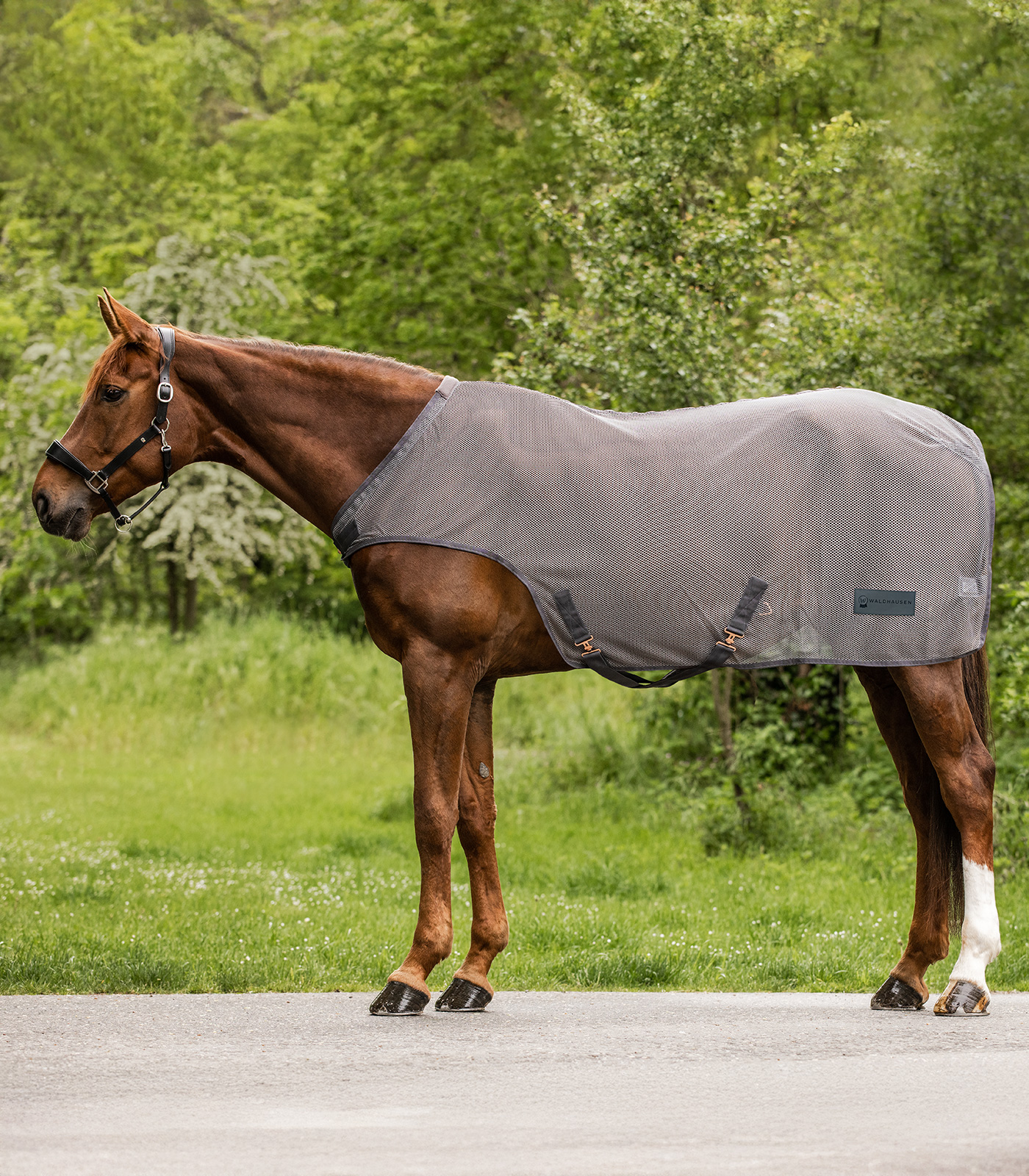 Comfort fly-guide blanket