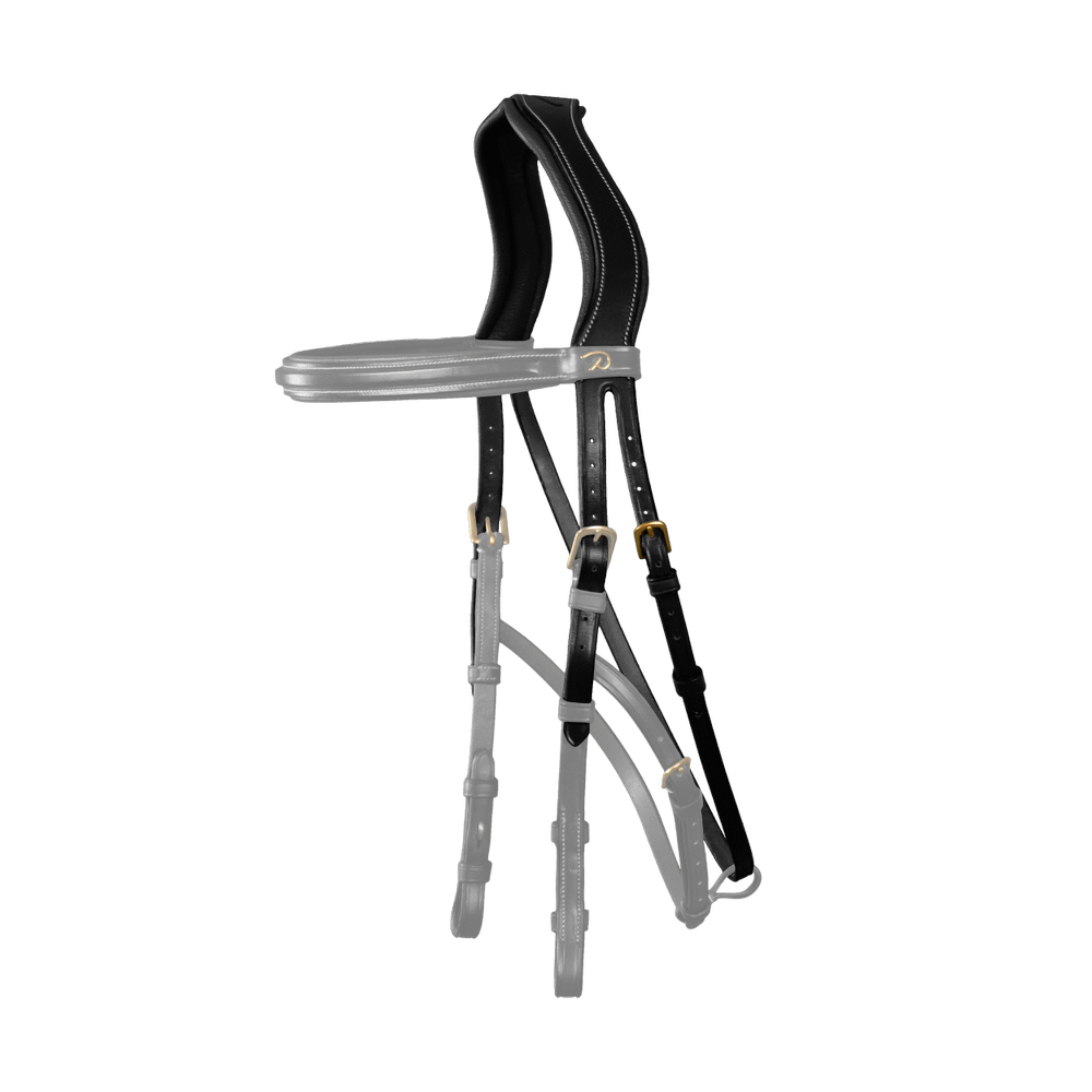 Hackamore-Kopfstück | Dy'on