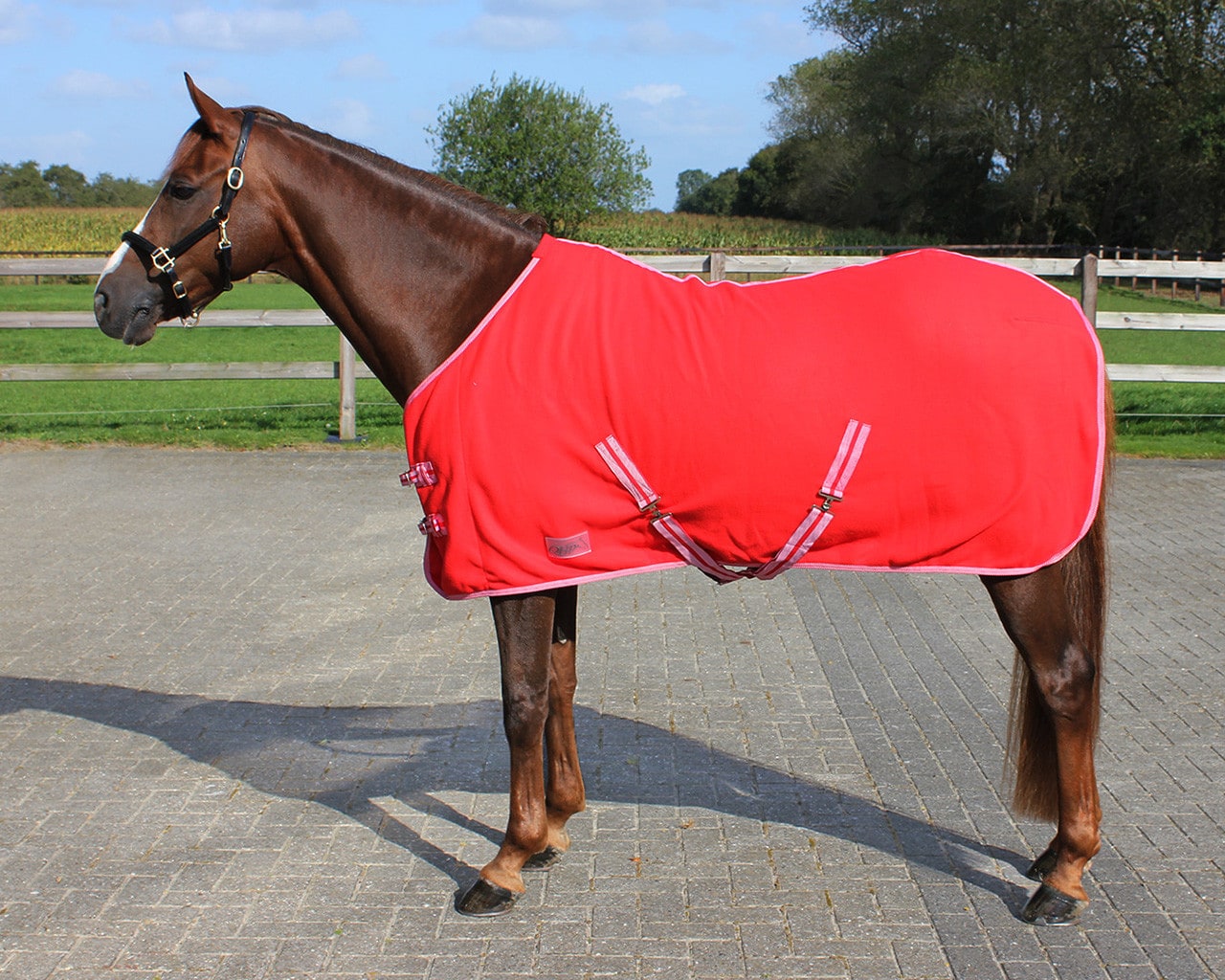Colour sweat rug with cross surcingles