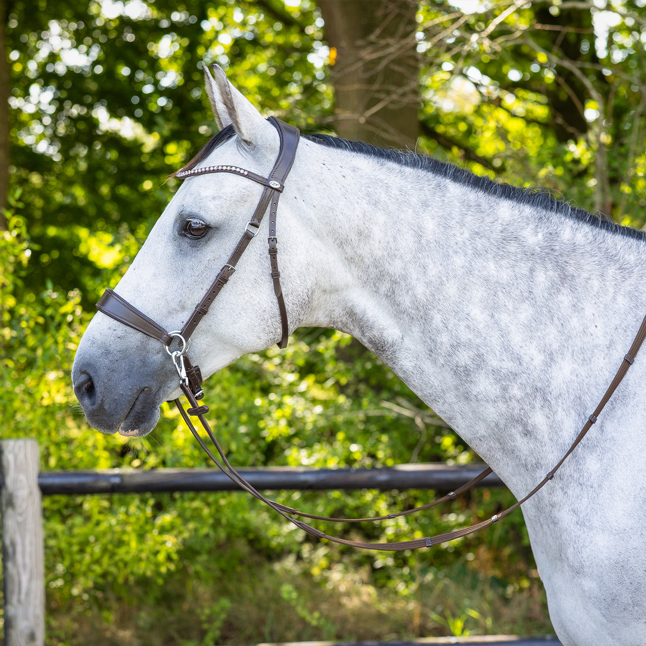 Snaffle bitless Sunna