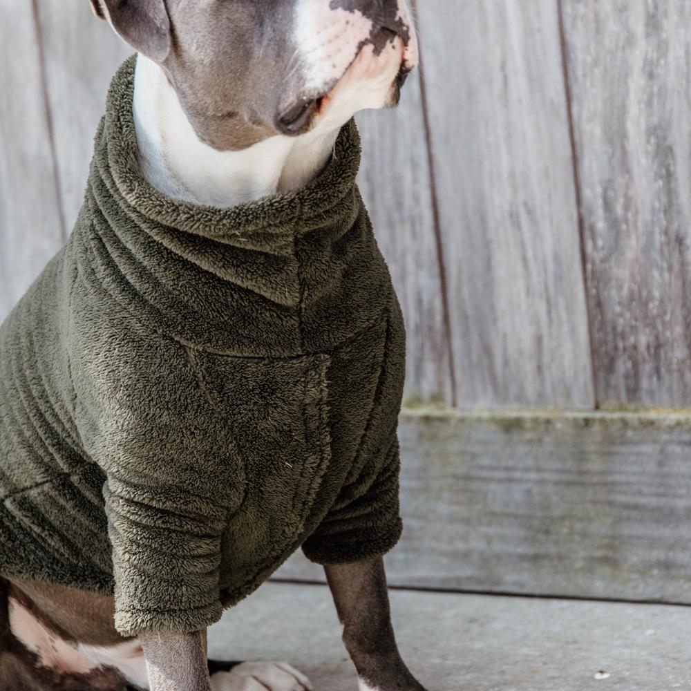 Pullover pour chien Teddy Fleece