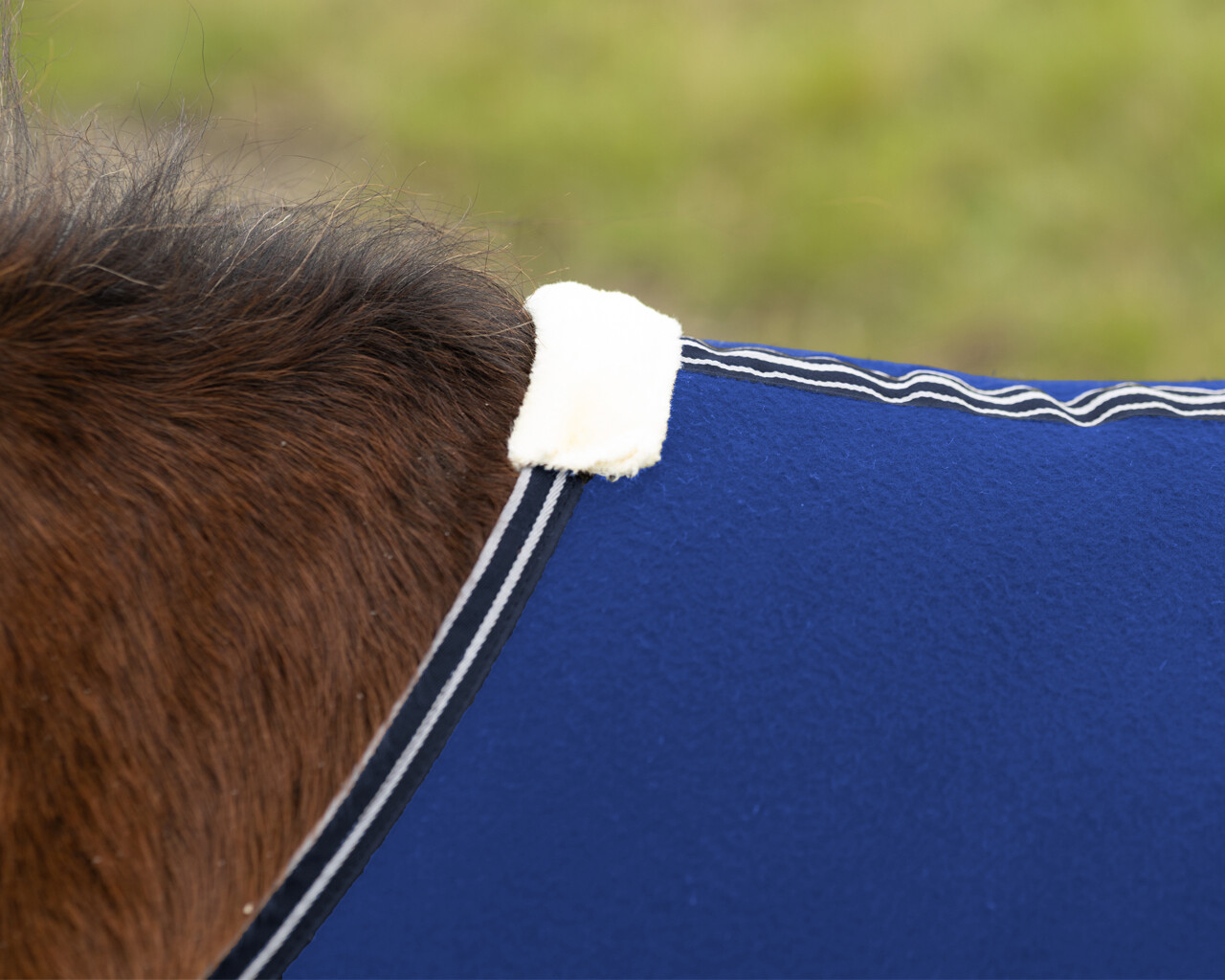 Shetty sweat rug with cross surcingles
