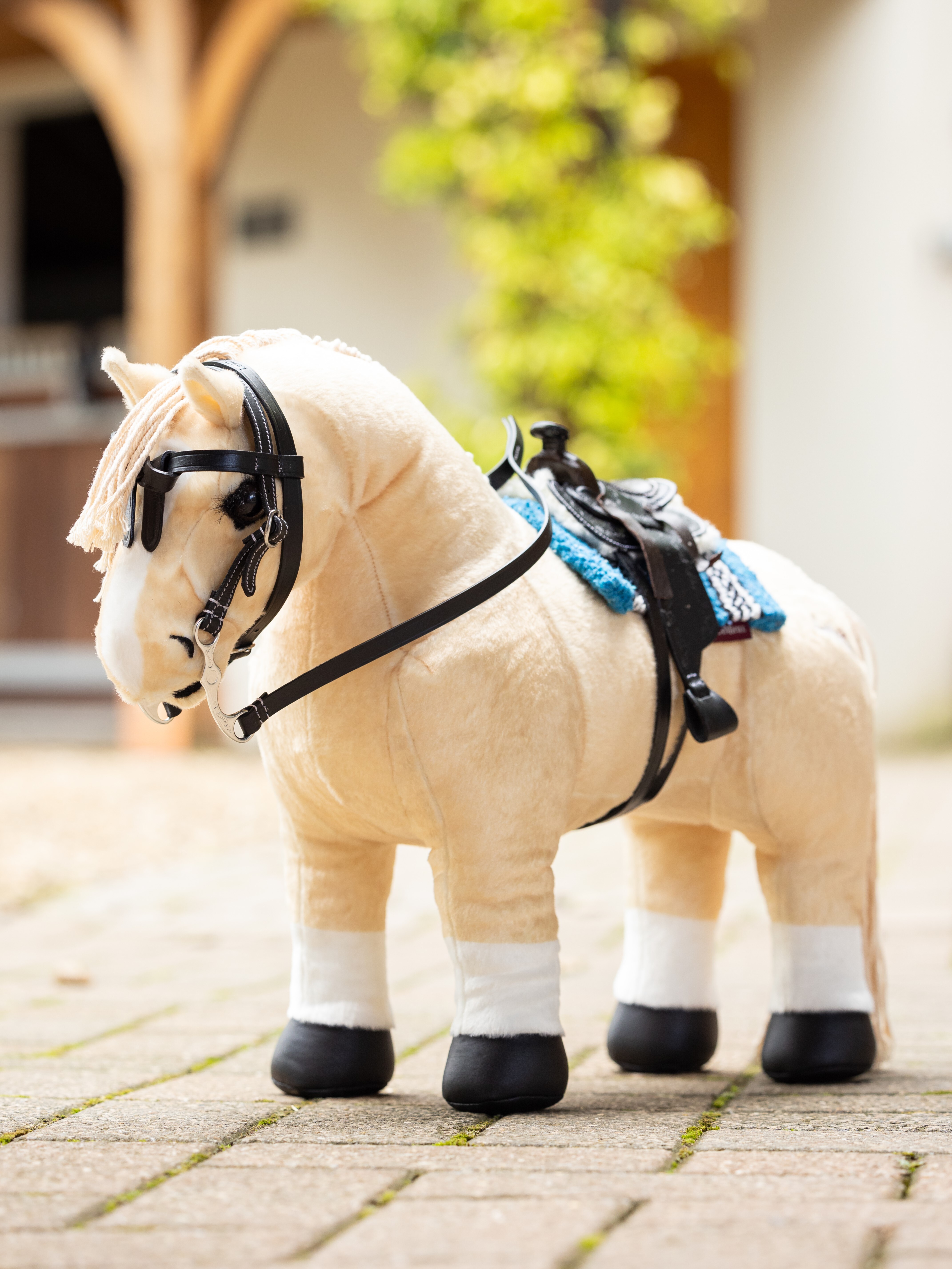 Toy Pony filet western