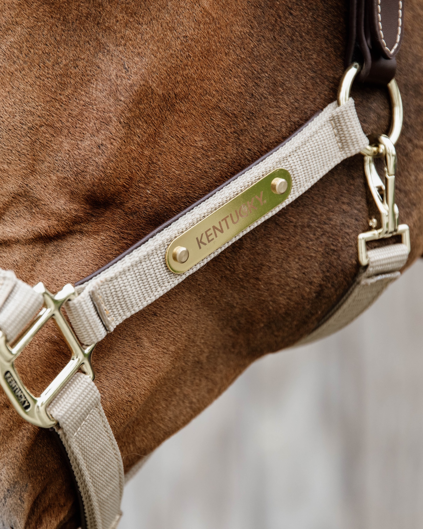 Halter Anatomical Nylon