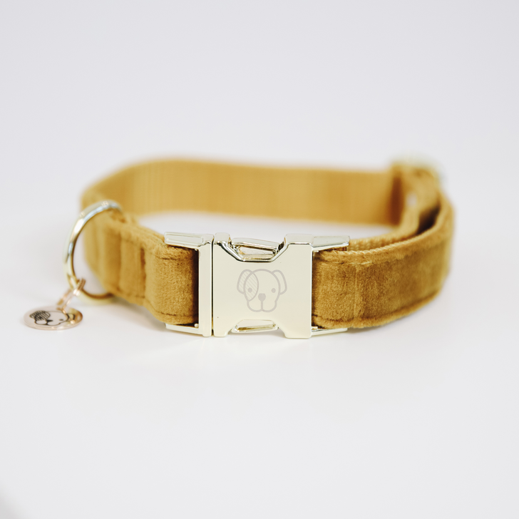 Hunde Halsband Velvet Hunde Halsband Velvet