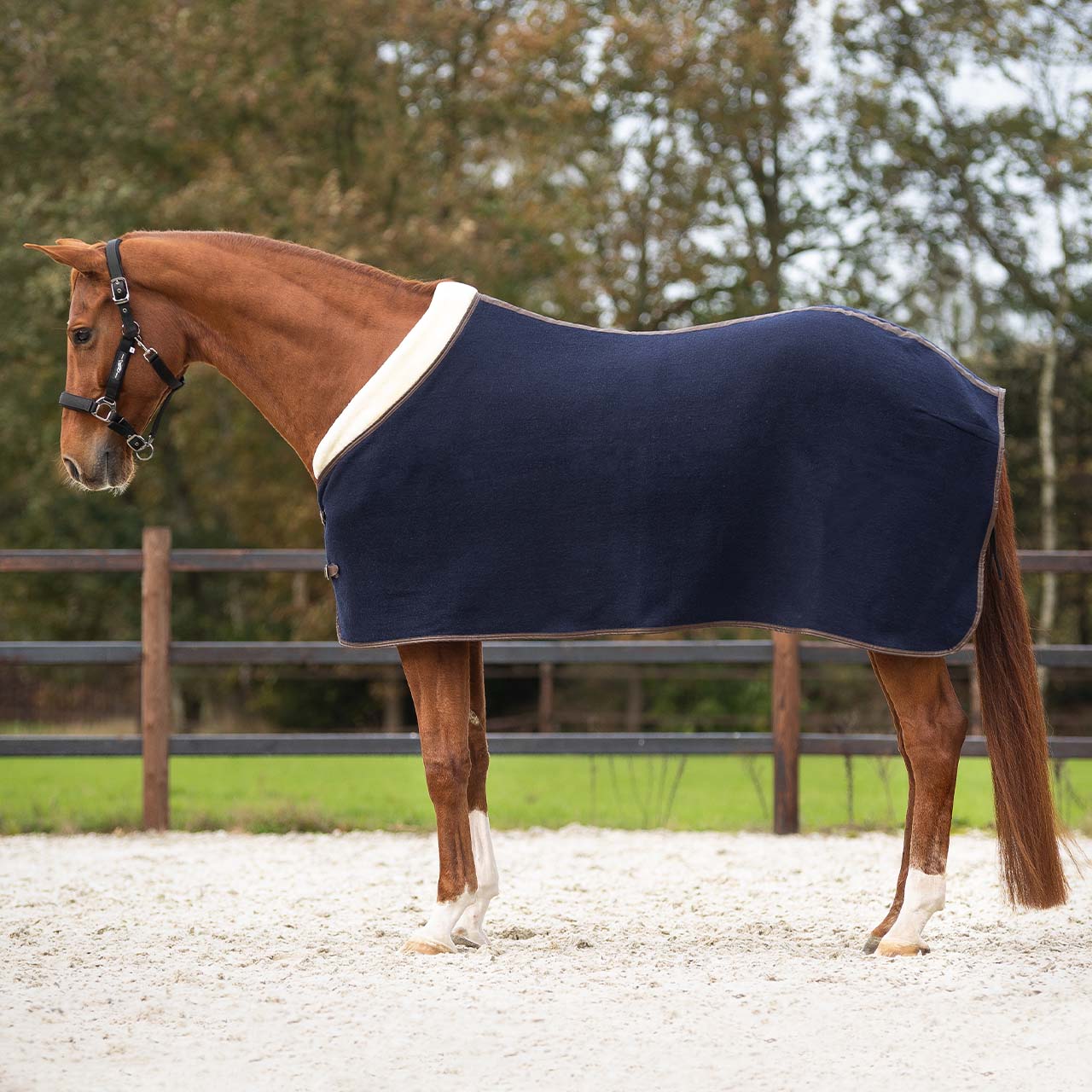 Deluxe sweat rug Deluxe sweat rug