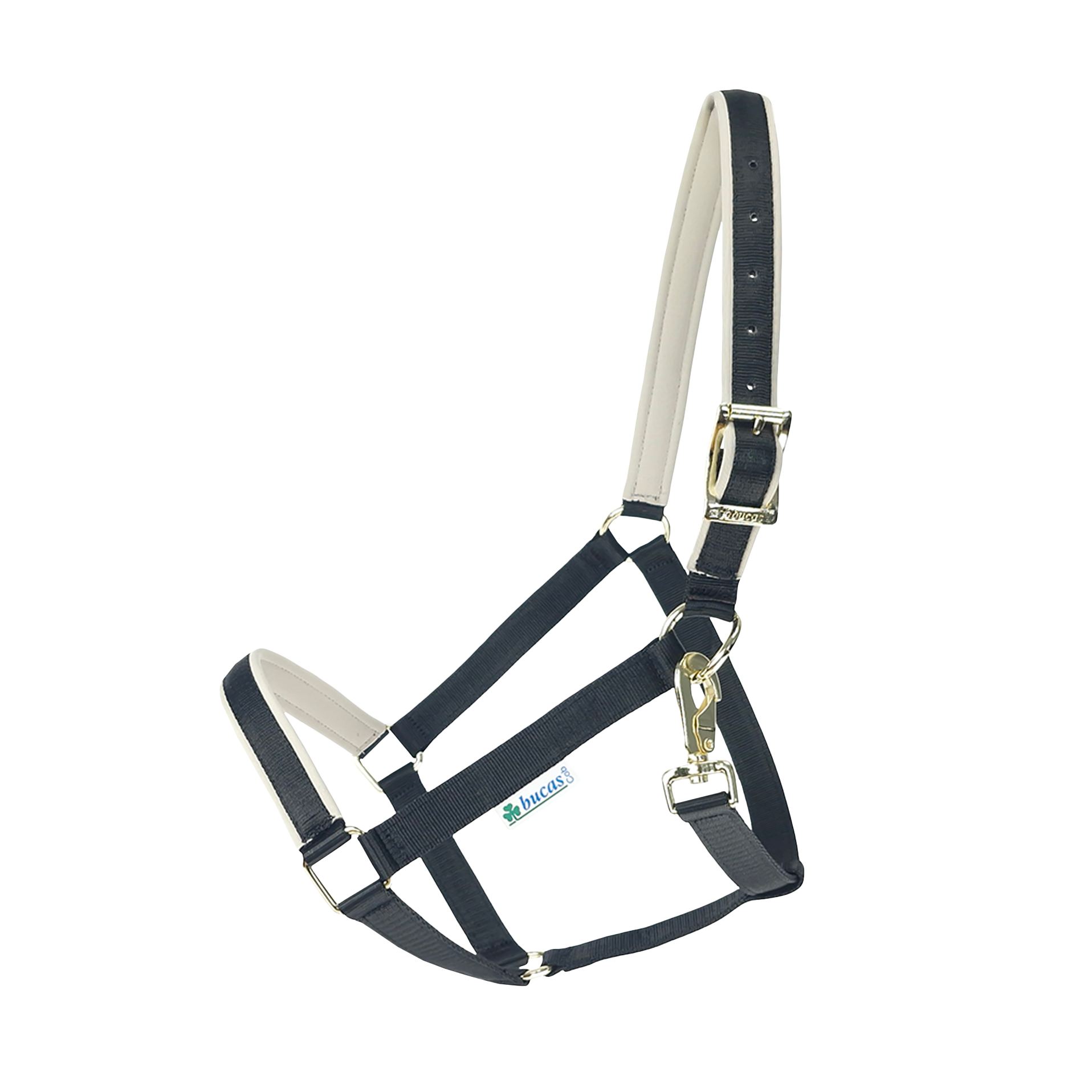 Halfter Dublin in Black/Silver
