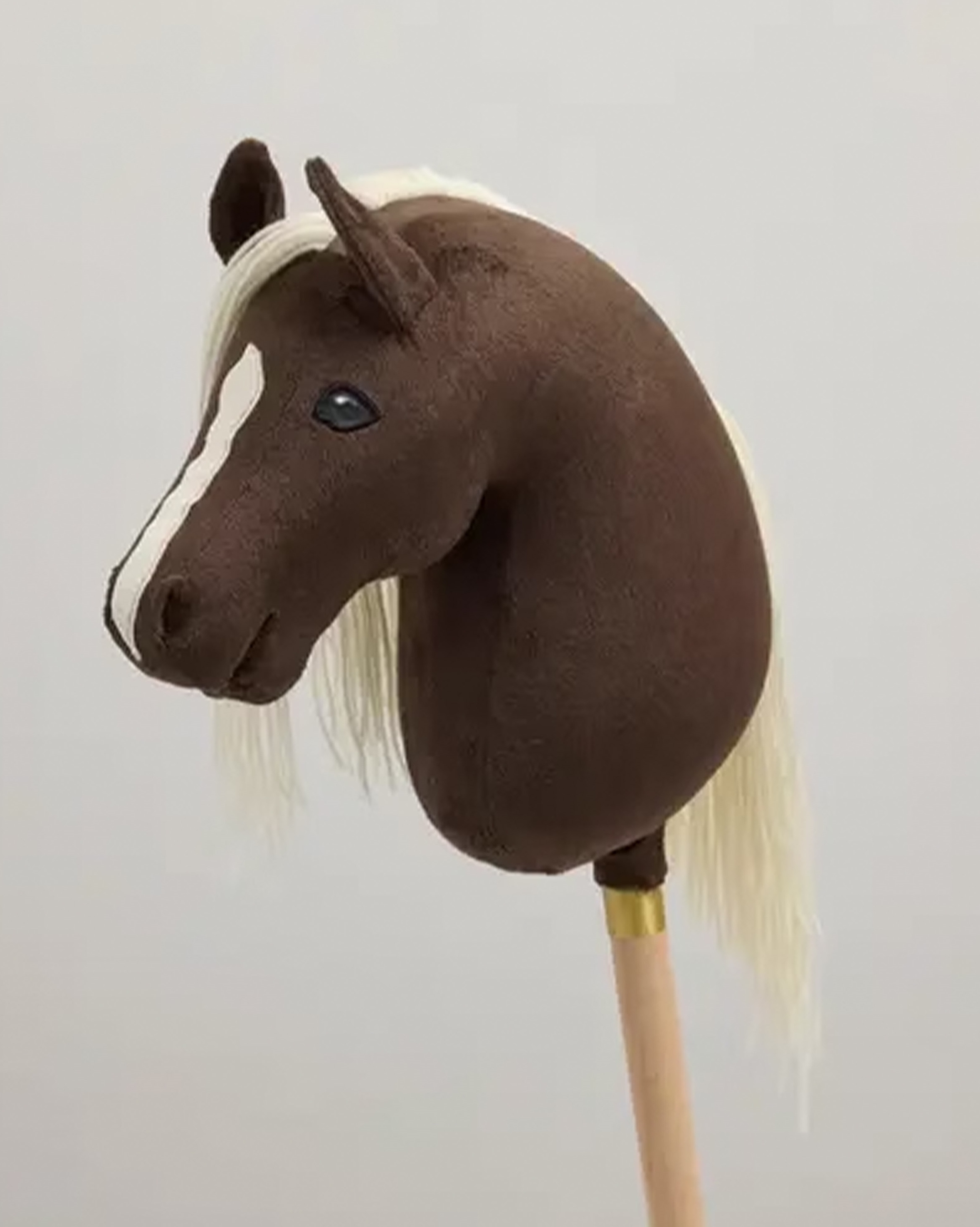 Hobby Horse Luca Falbe