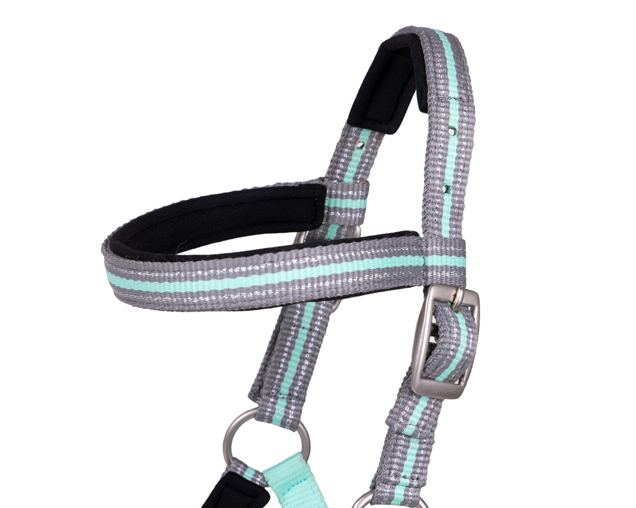 Foal halter Flore with headband