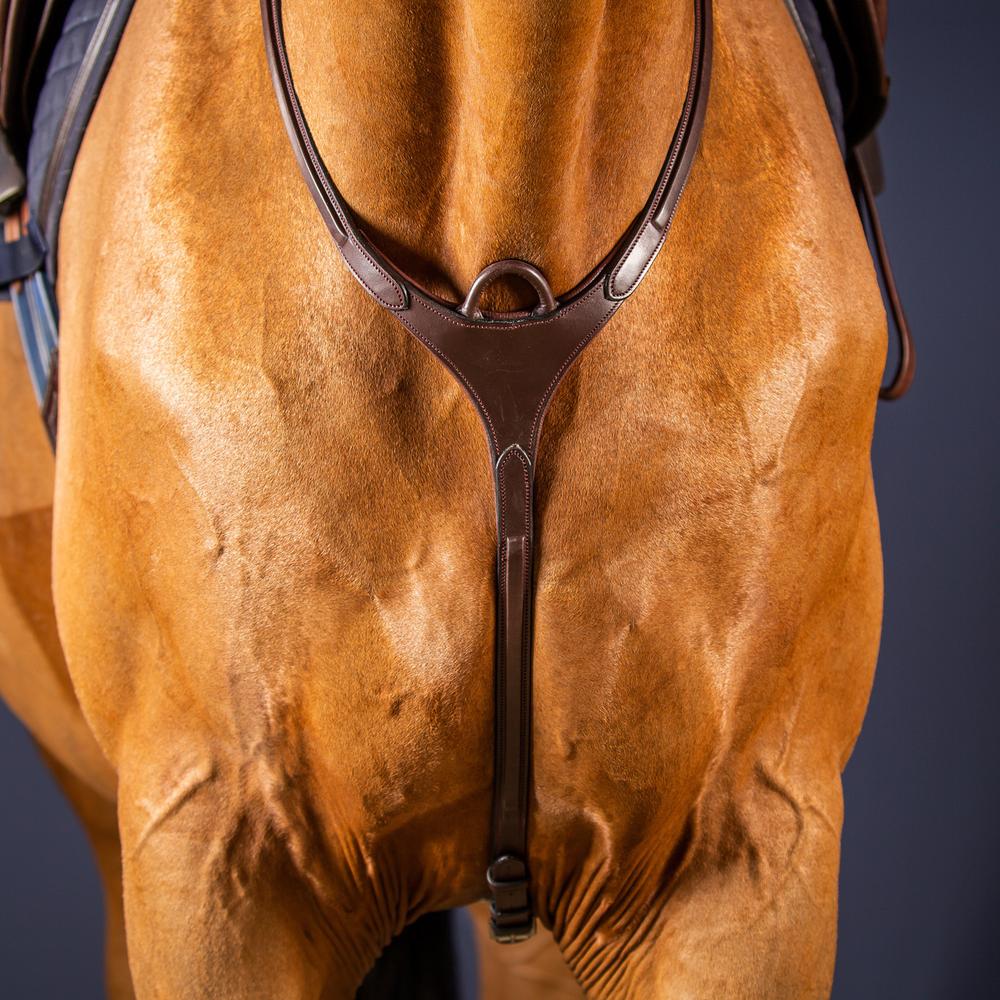 Vorderzeug mit Brücke