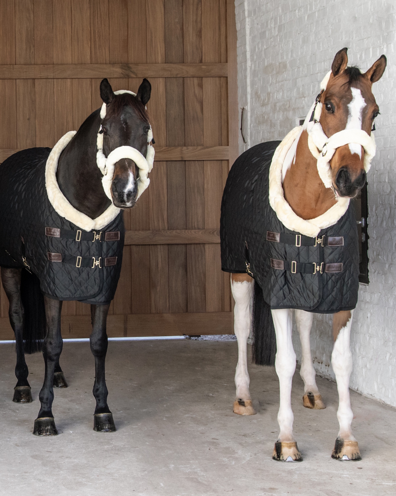 Show rug Show Rug 160g