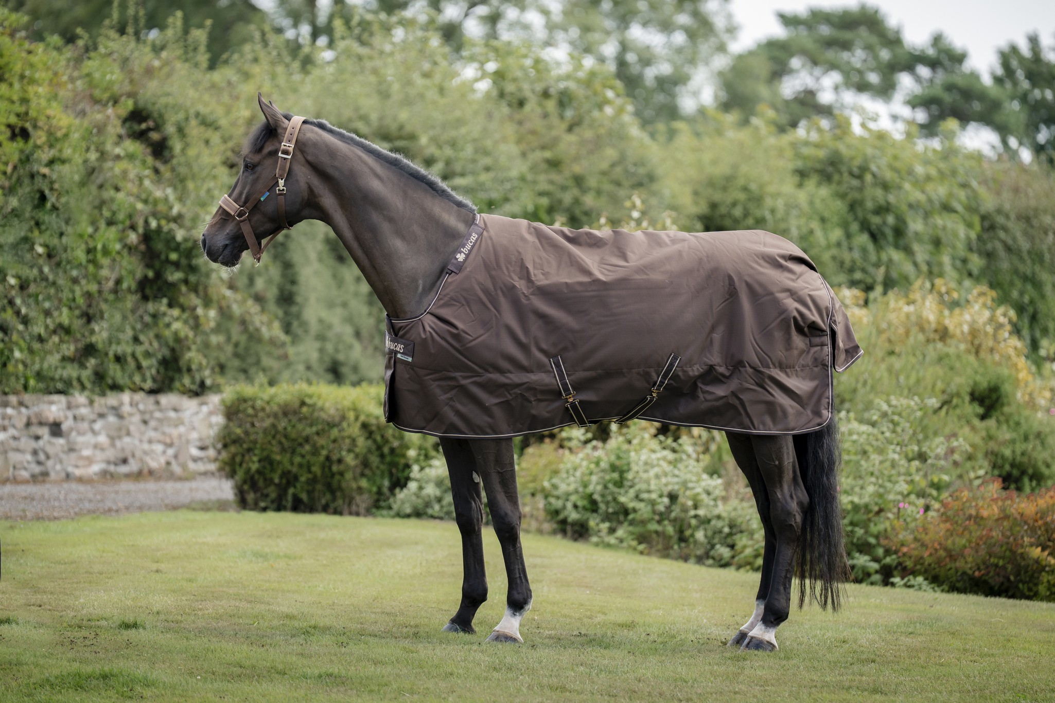 Outdoordecke Irish Turnout 300 g in Espresso