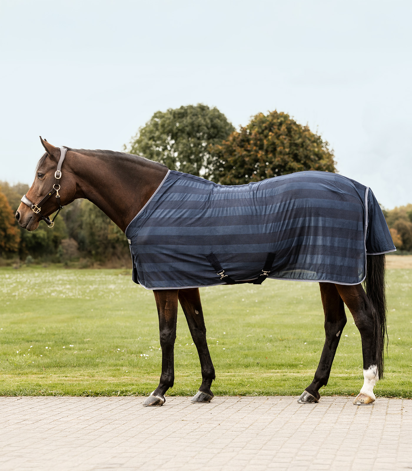 Fly rug Economic cross surcingles