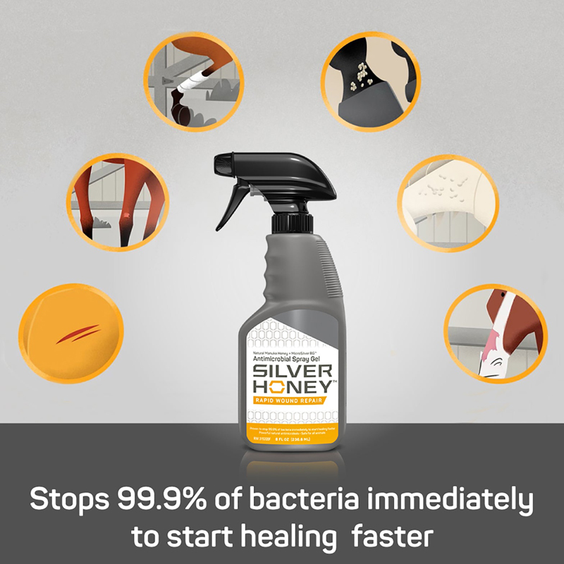 Silver Honey Spray - 240ml