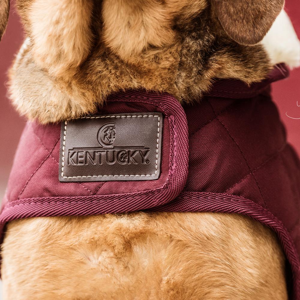Manteau pour chien Original