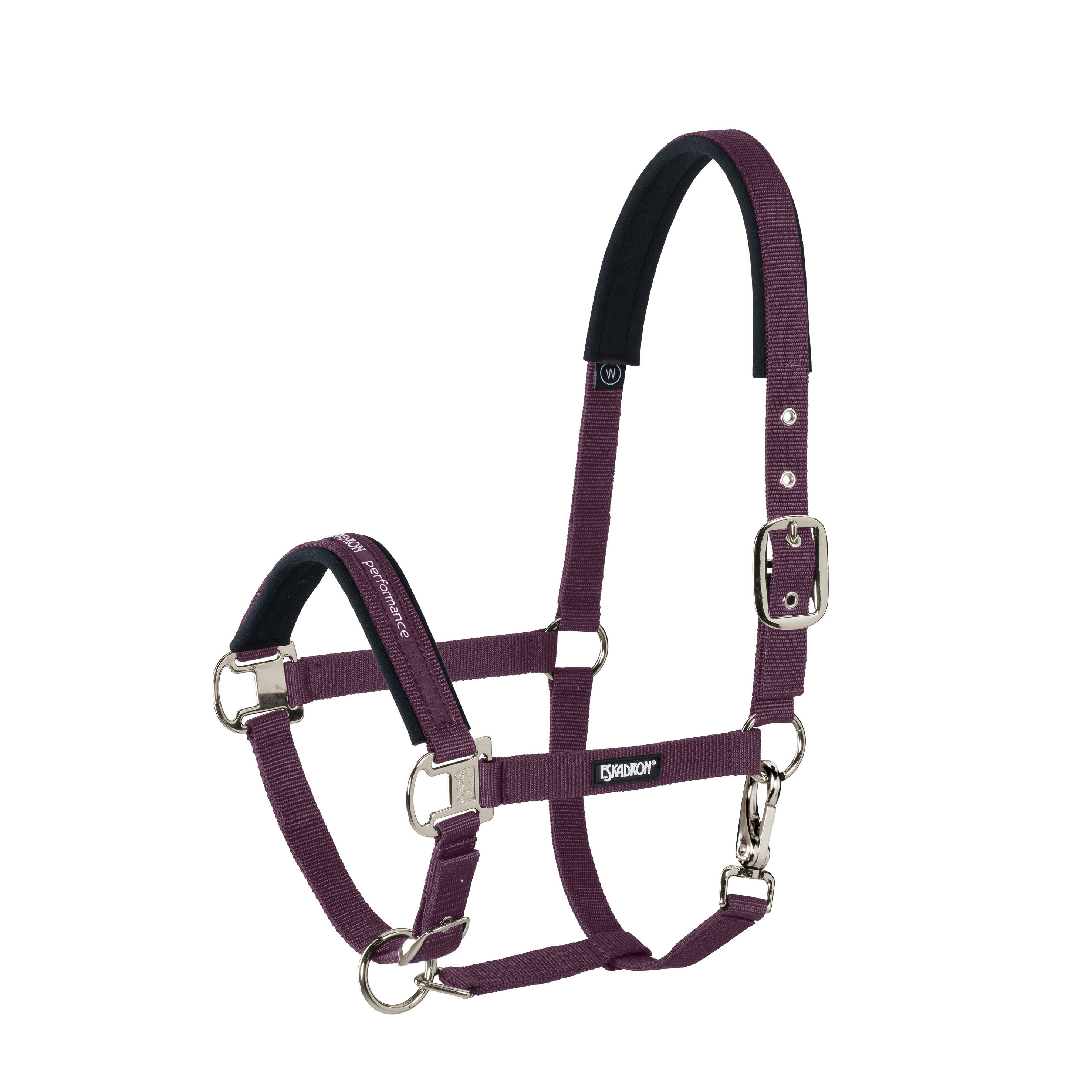 Halter Pin Buckle
