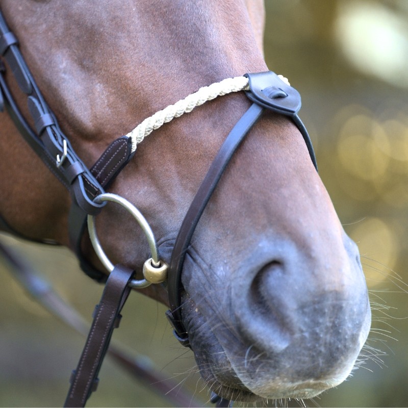 Engelse gecombineerde touw neusriem "Rope