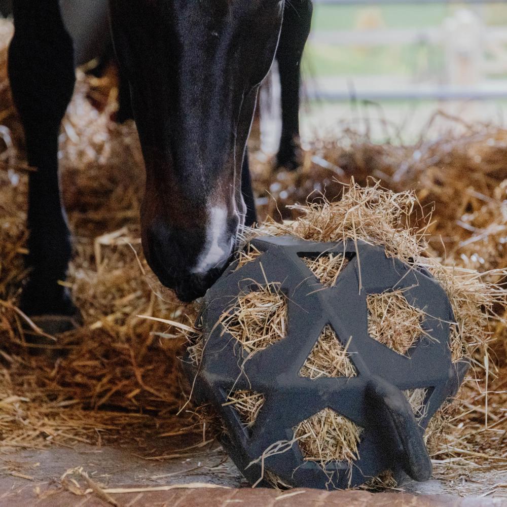 Relax horse game & hay ball